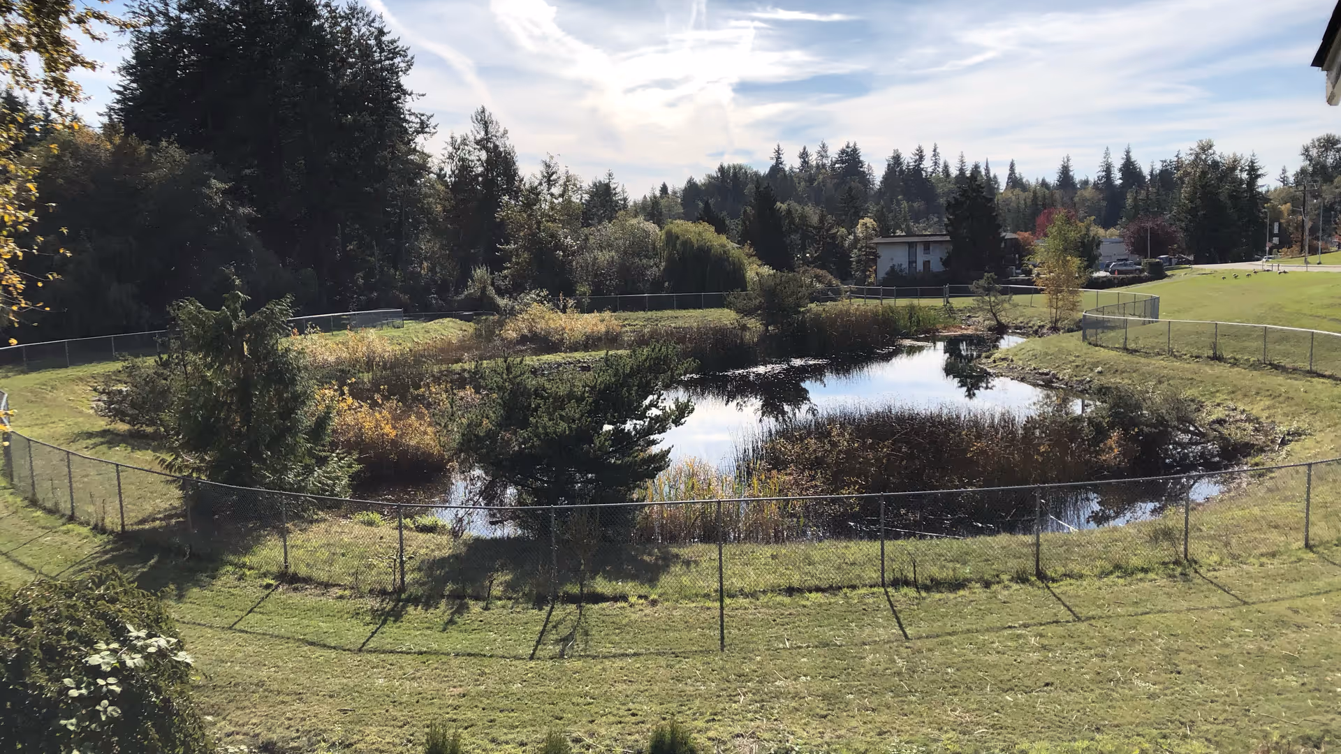 A fenced, landscaped pond area with grass, trees, and distant buildings on a sunny day.