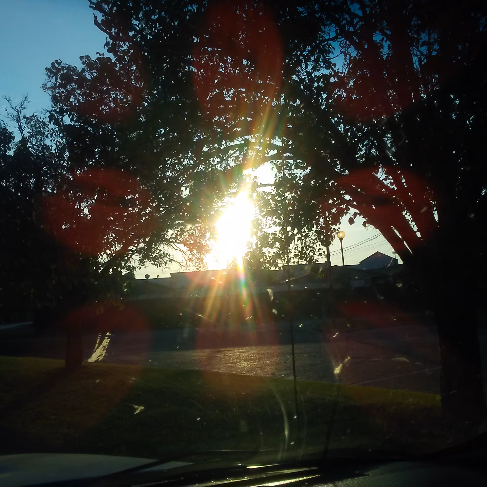 Sunlight filters through trees over a parking lot and street.