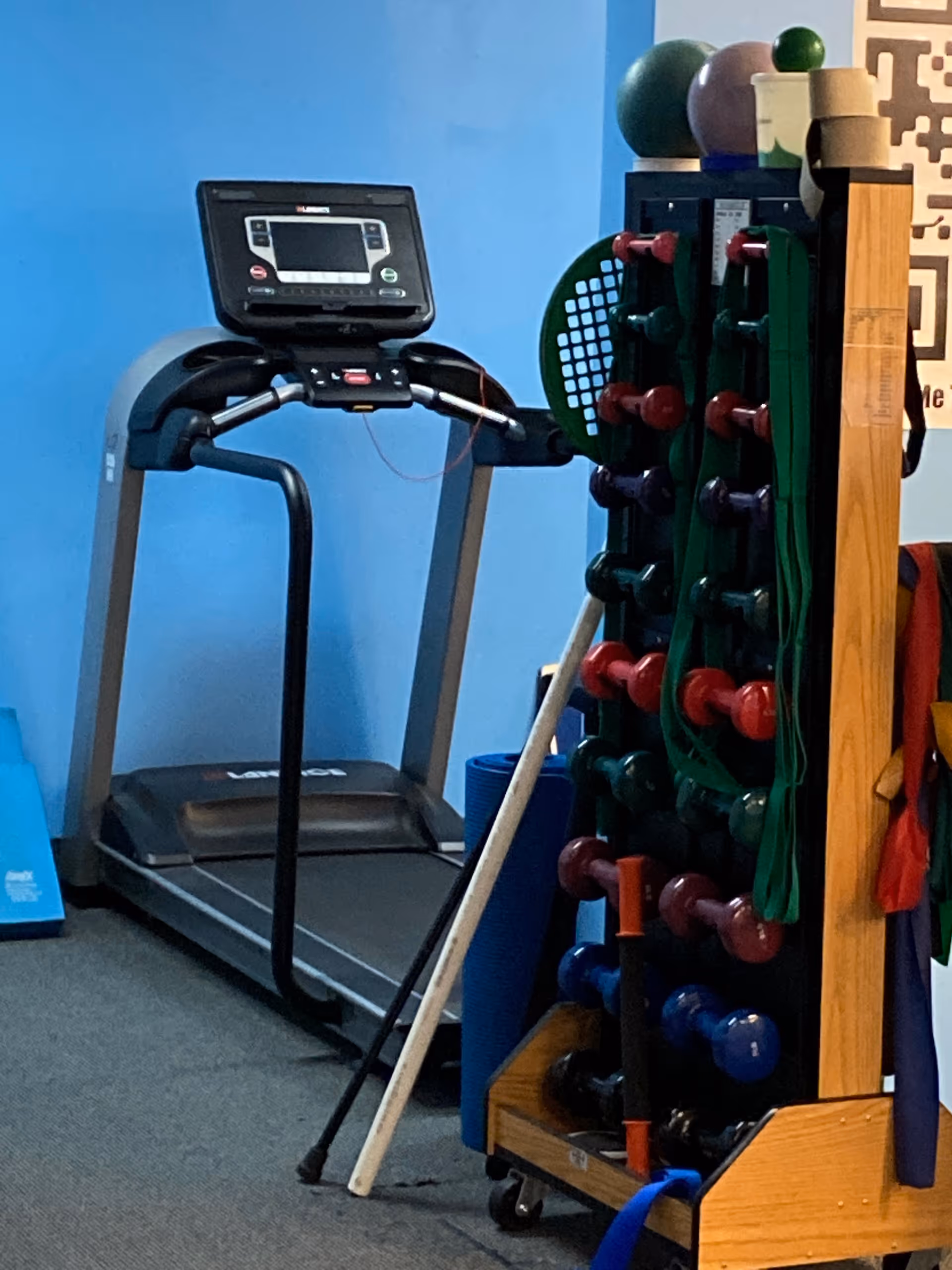 Indoor senior fitness area with treadmill, weights rack, and mats