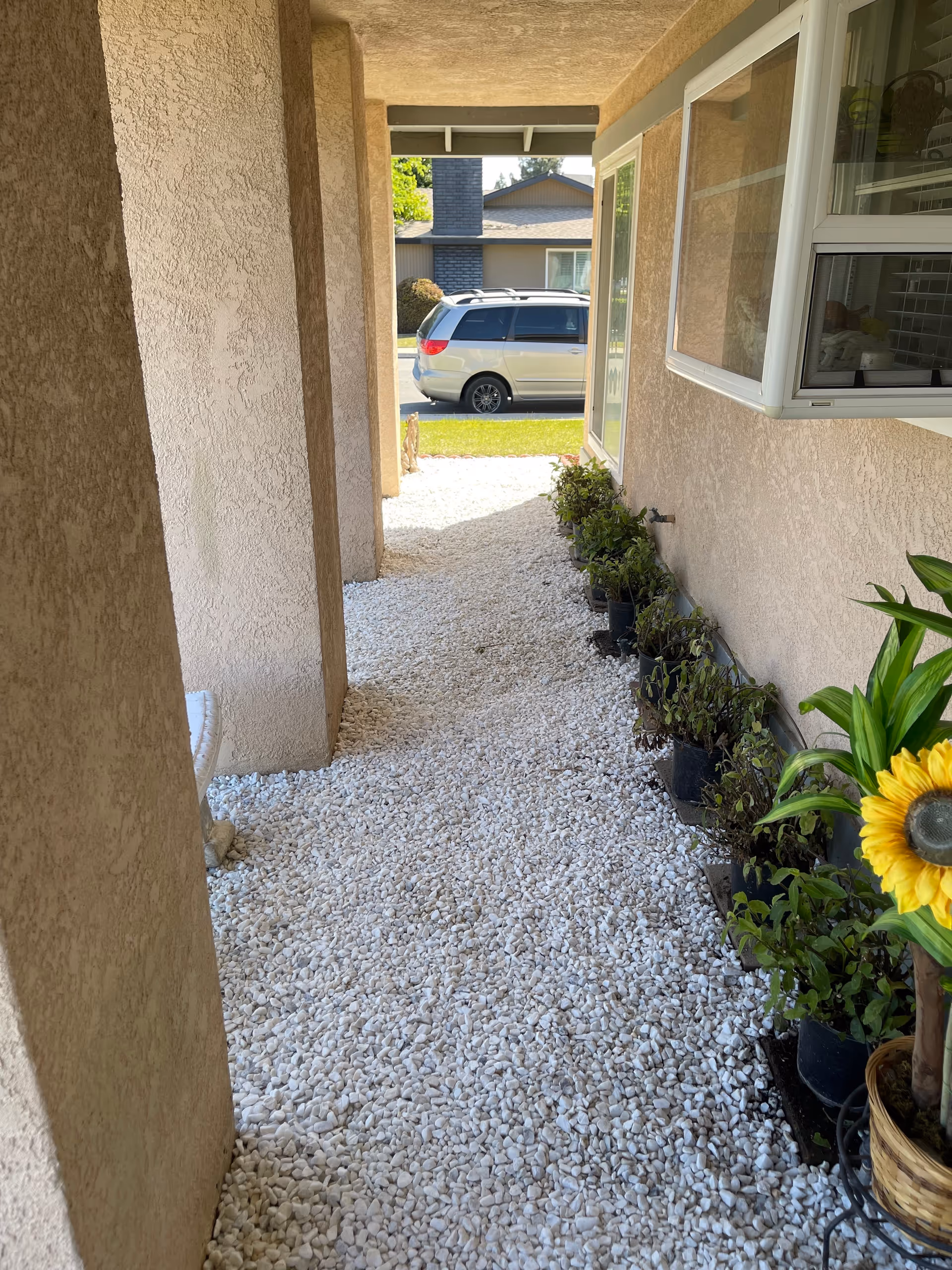 Exterior walkway with gravel path, potted plants, a sunflower, and a parked minivan.