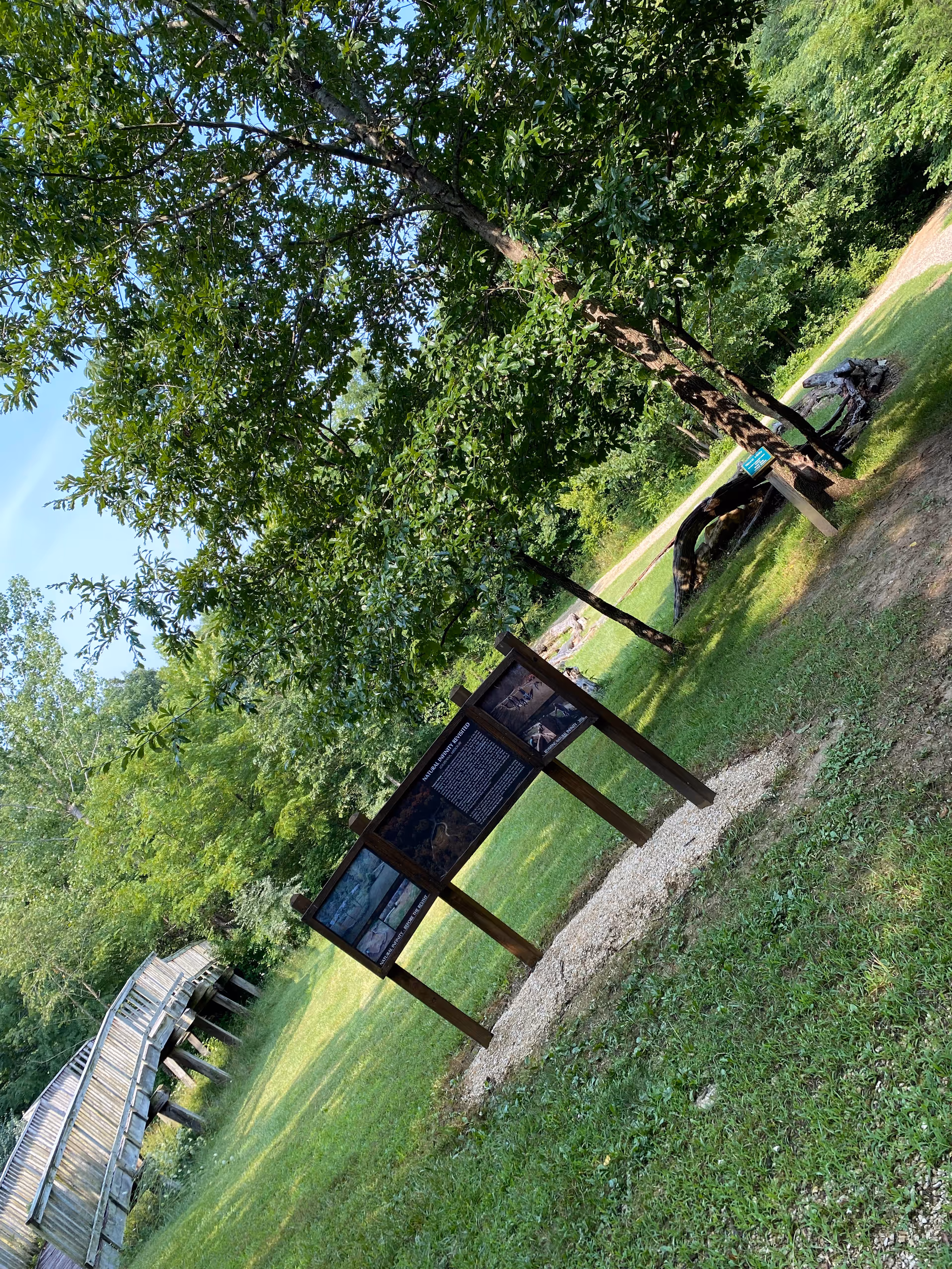Outdoor park space with trees, a curved wooden boardwalk, and an informational sign panel.