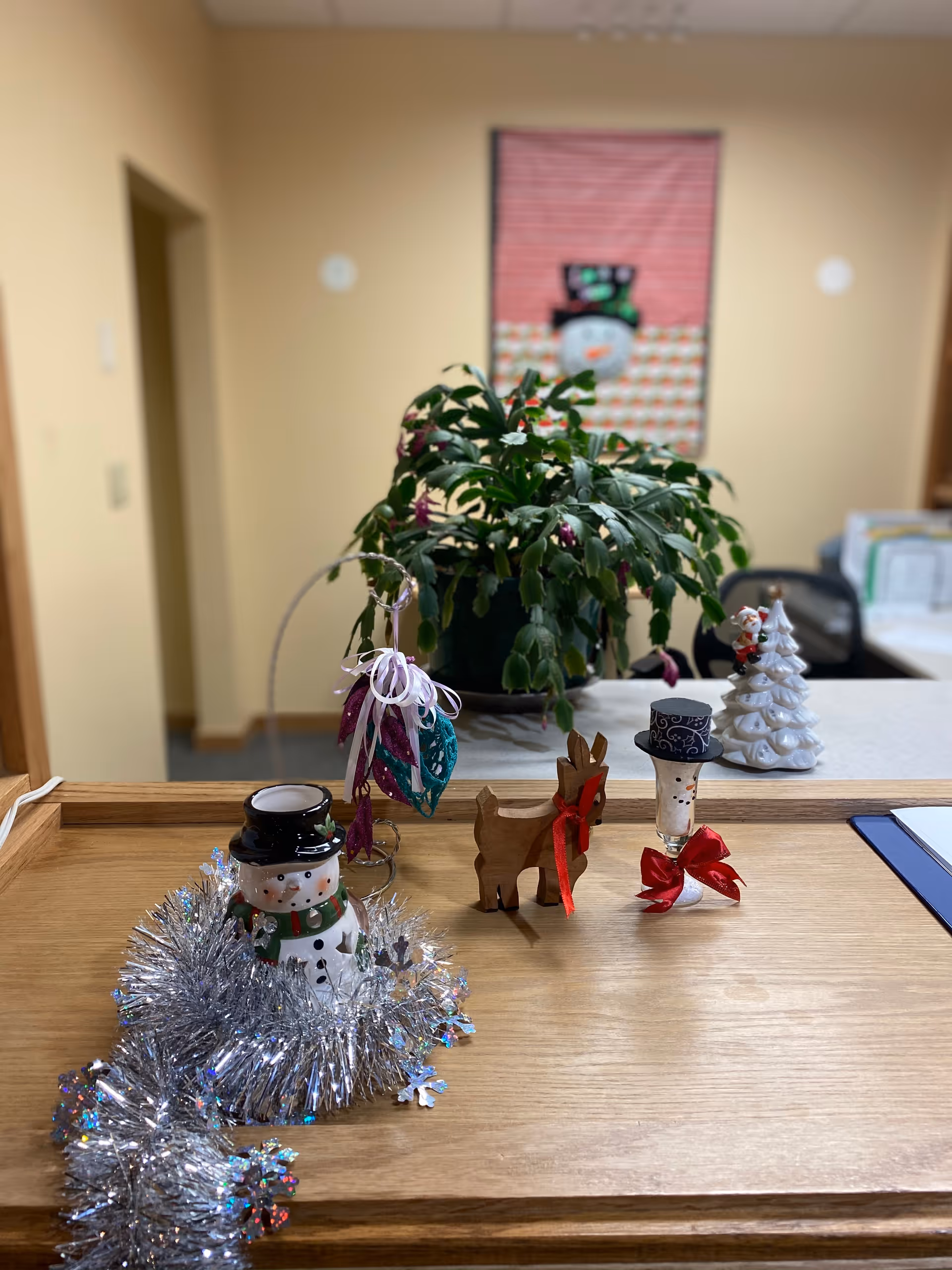 Plant and holiday decorations sit on a wooden reception counter inside a care facility.