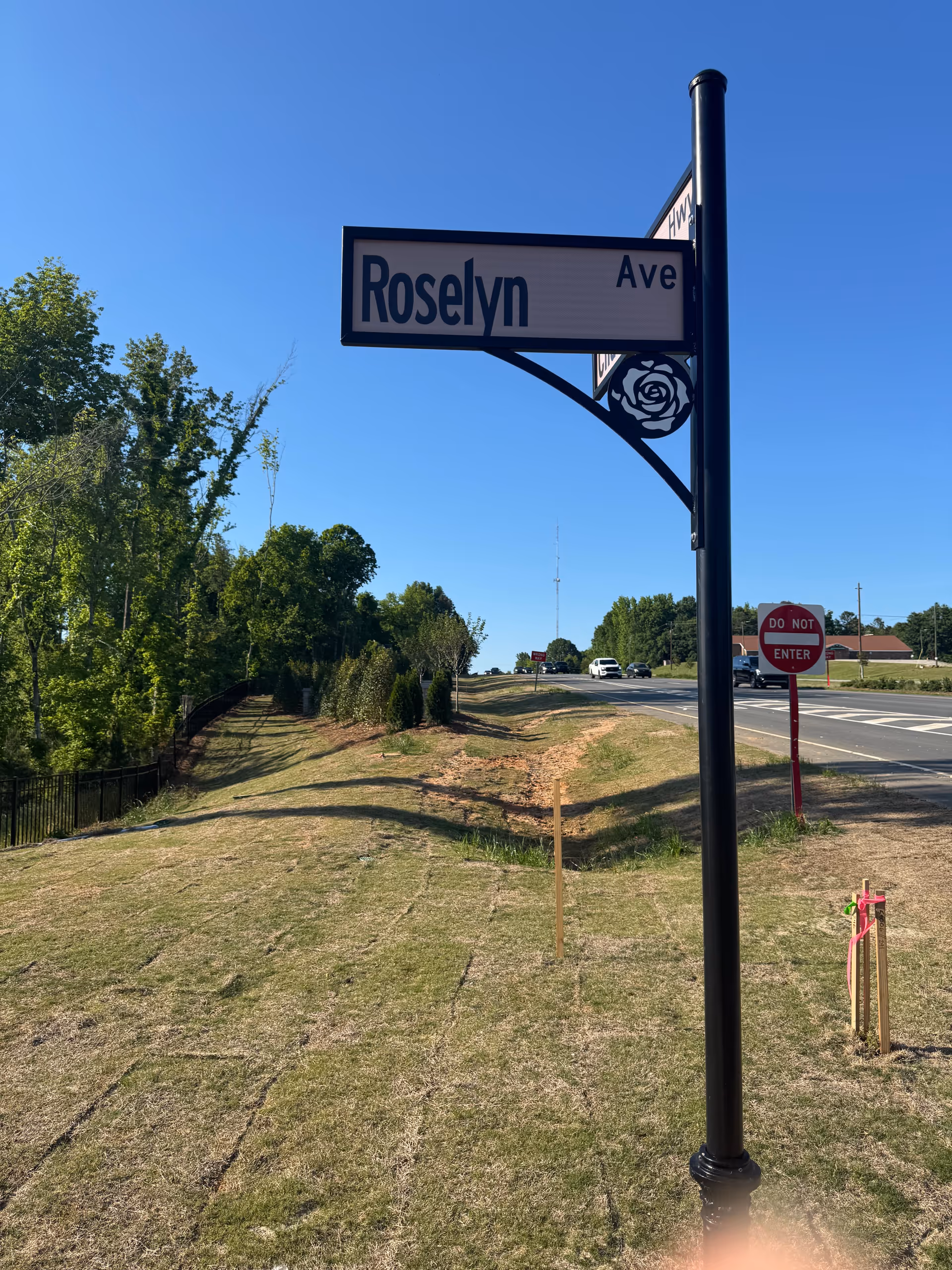 Clear blue sky over a Roselyn Ave street sign beside a grassy roadside.