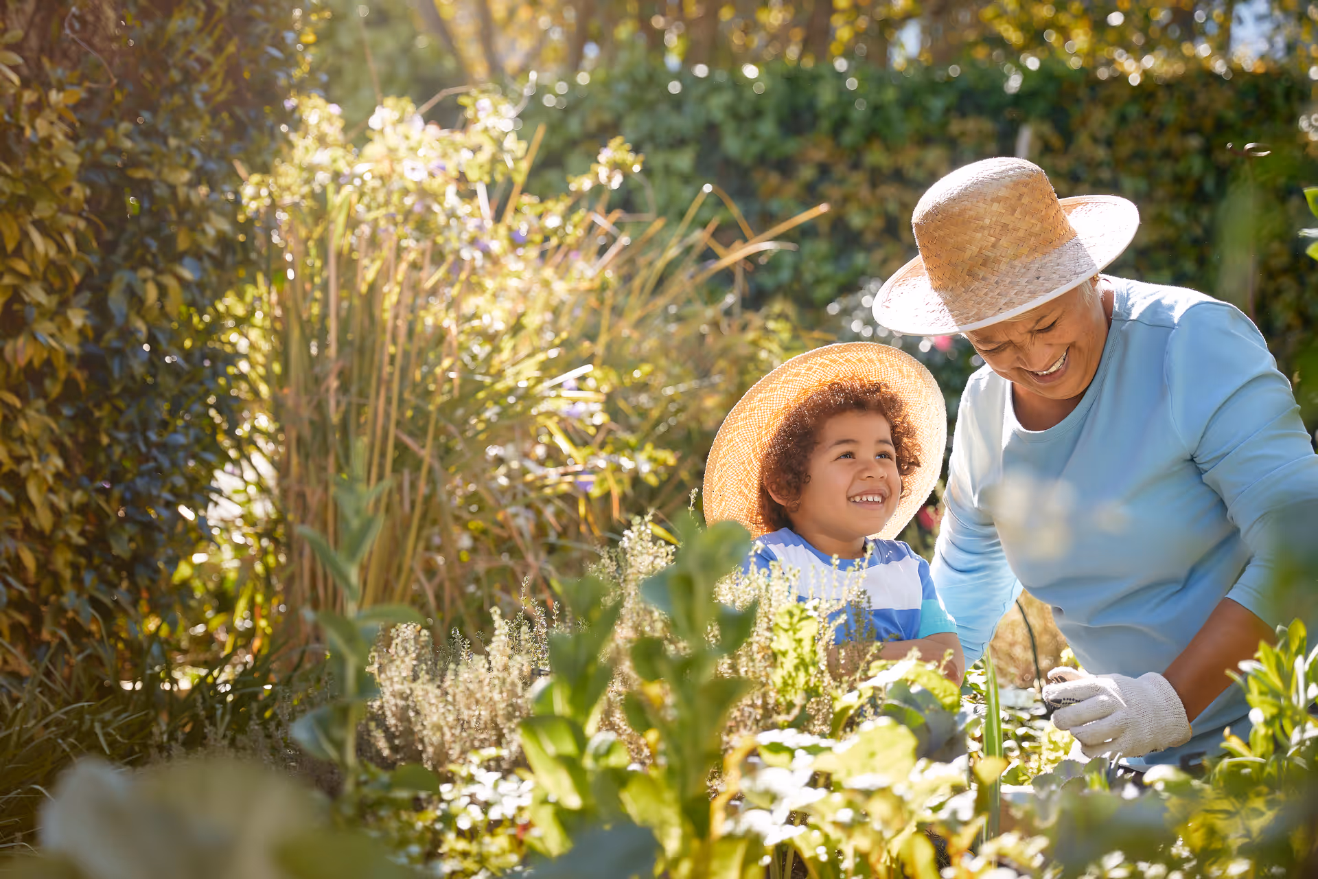 An elderly woman and a child garden together in a sunlit outdoor space.