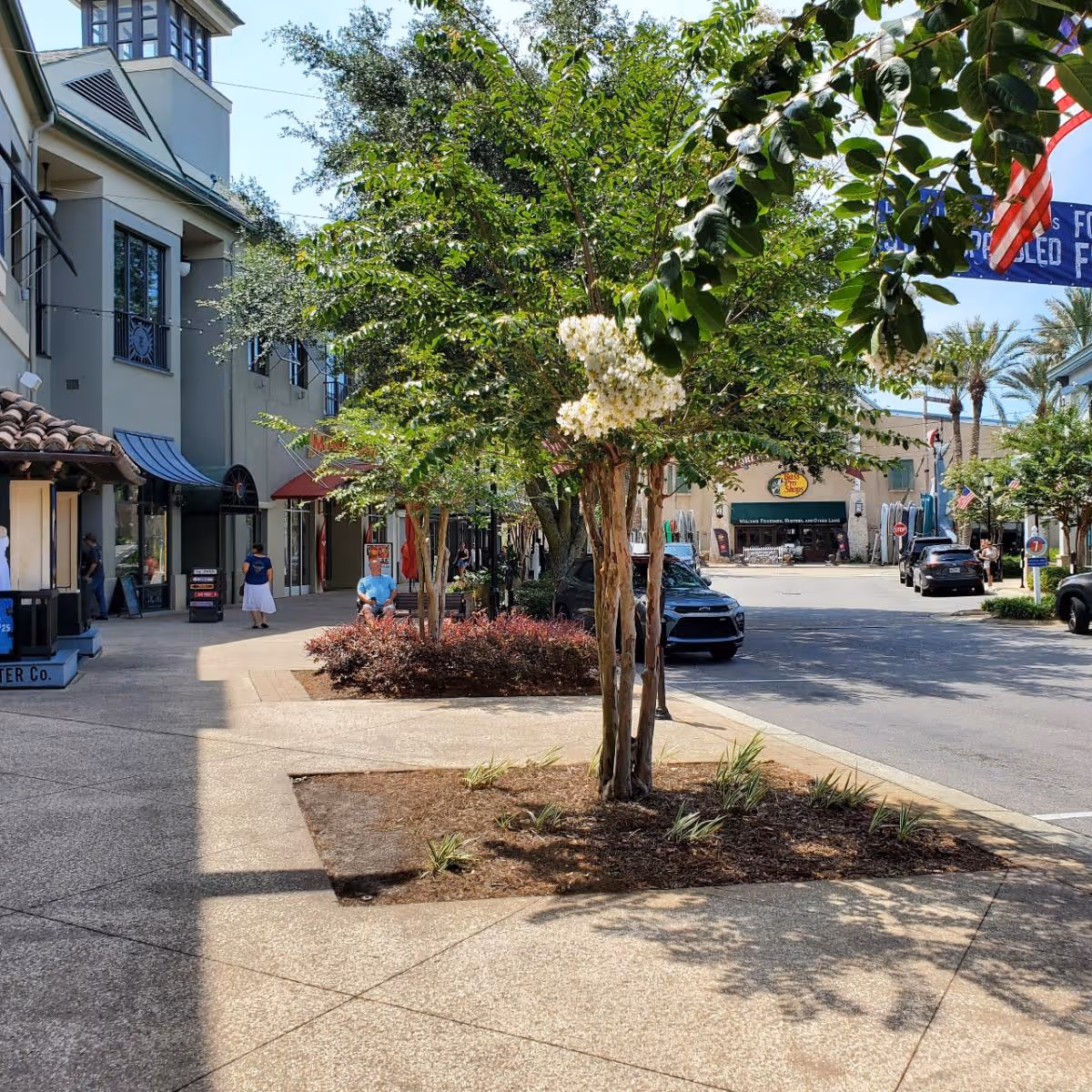 Sunny outdoor shopping street with trees, storefronts, pedestrians, and parked cars.