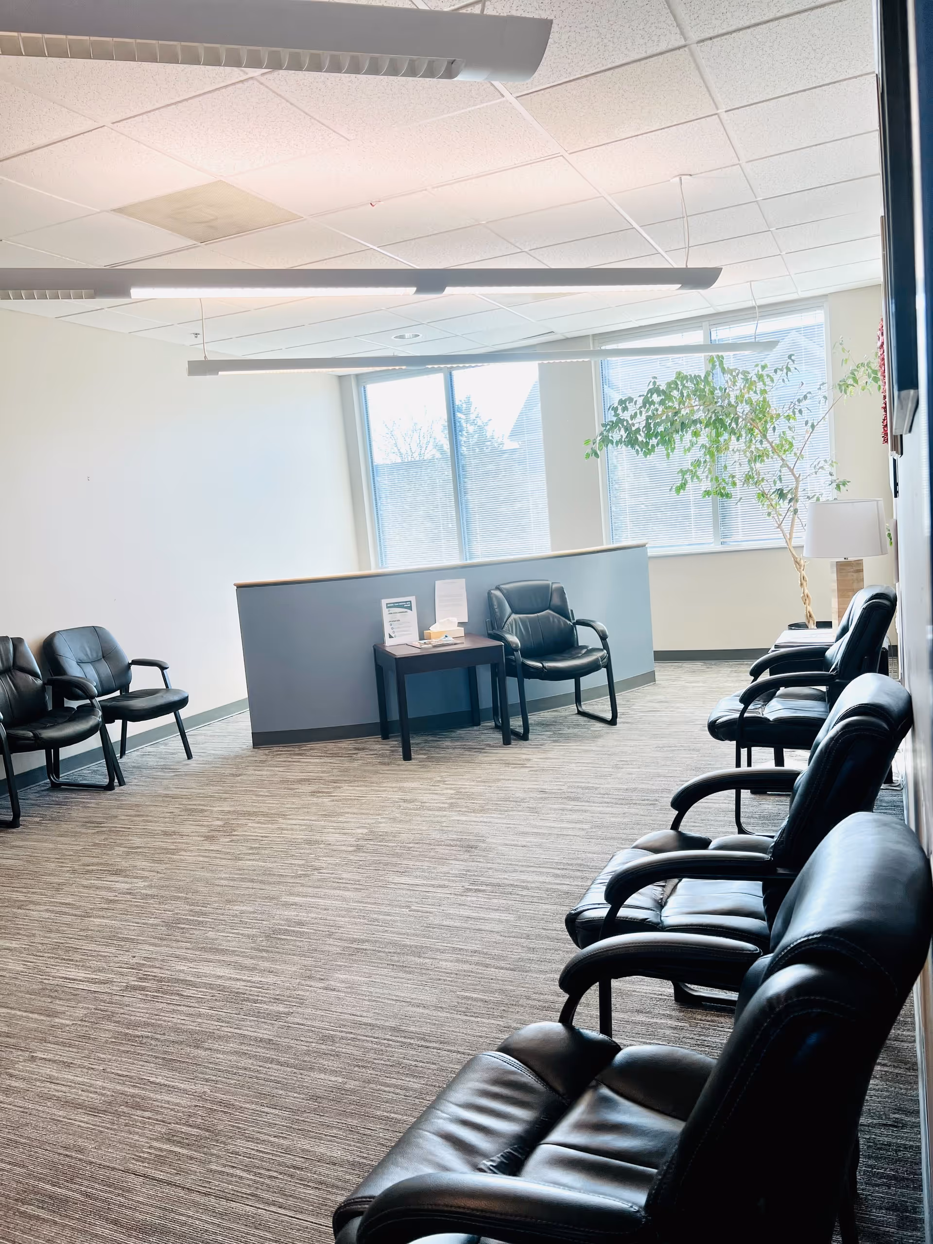 Bright waiting area with black leather chairs, a partition desk, papers, a tall plant, and windows.