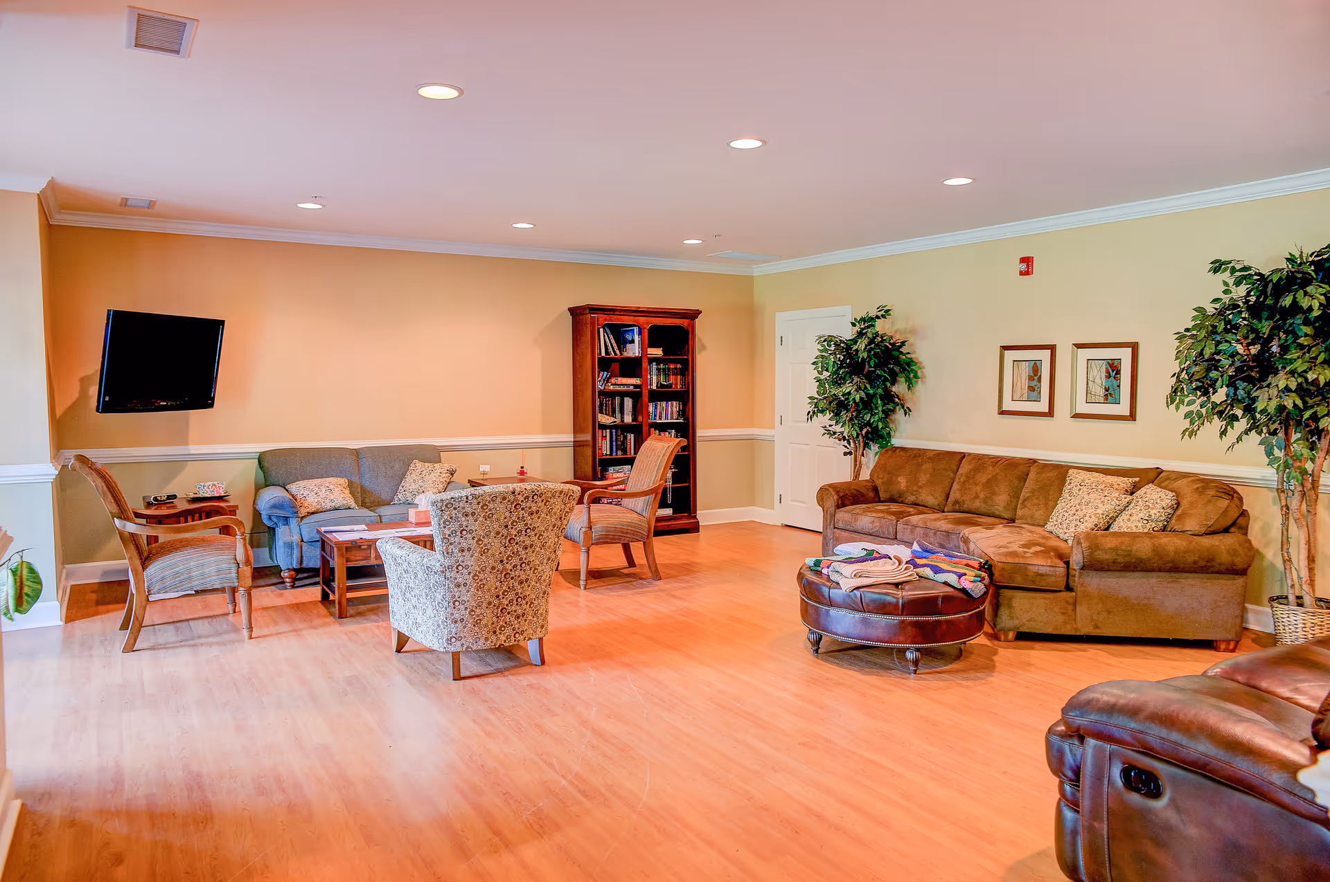 Bright lounge area with sofas, chairs, coffee table, TV, bookshelf, and potted plants.