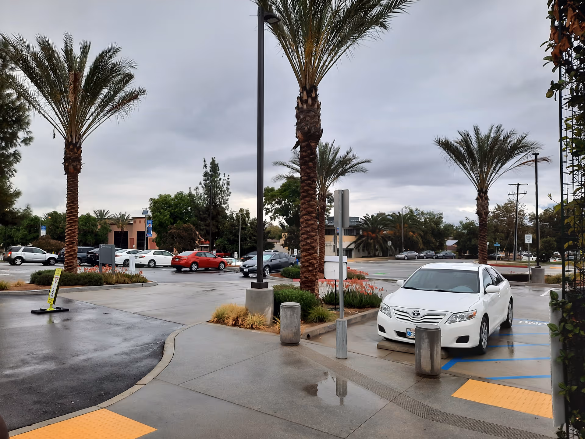 Exterior view of Redlands Community Hospital parking lot with palm trees and parked cars.