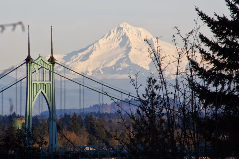 Snow-capped mountain behind a green suspension bridge with trees in foreground.
