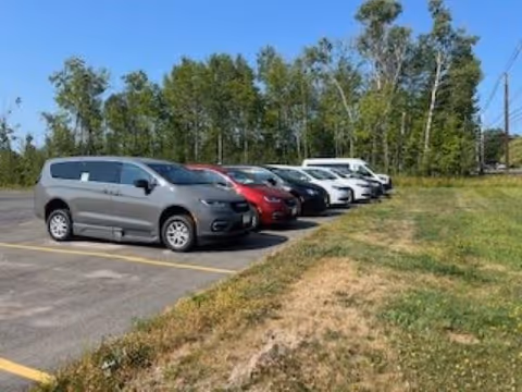 Row of parked cars along a driveway in a grassy, tree-lined parking lot.
