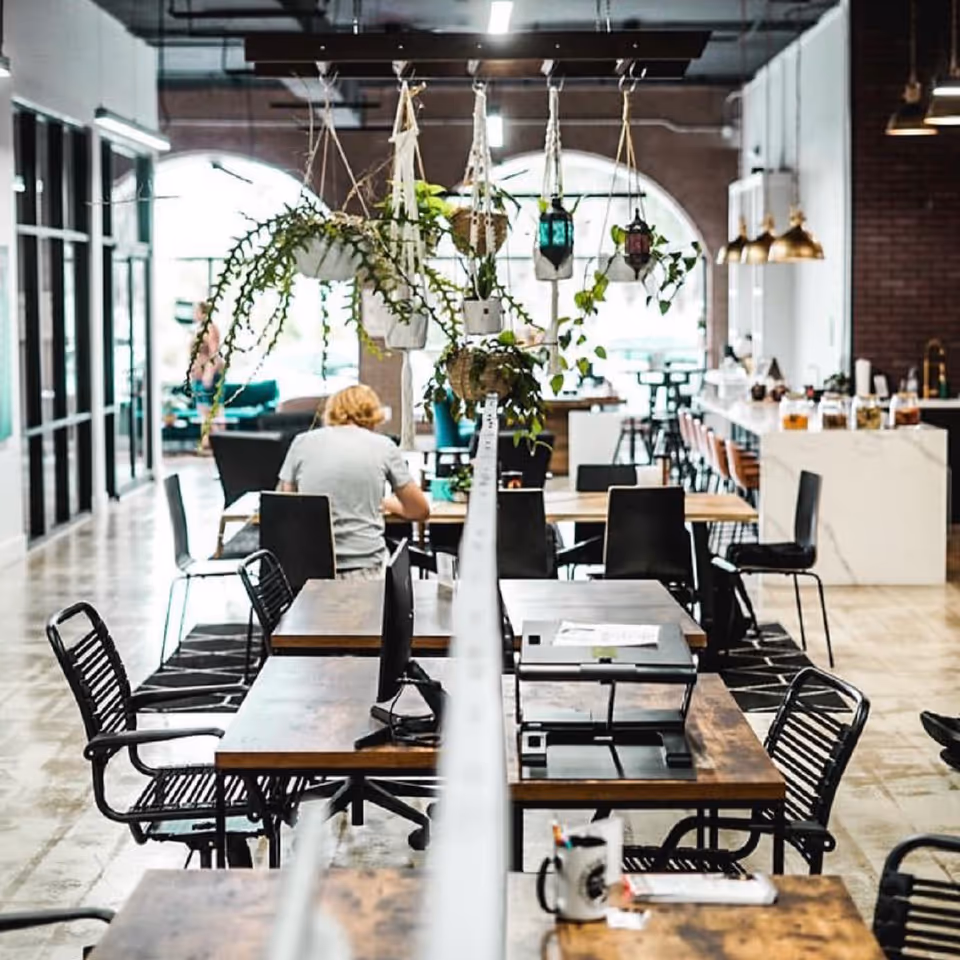 Open, modern dining area with hanging plants, long tables, and a kitchen counter.