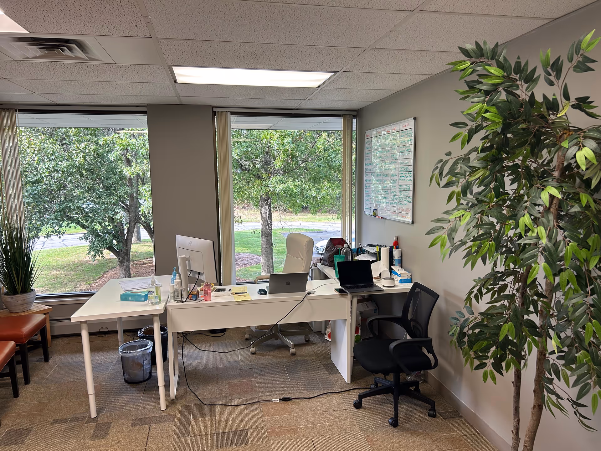A modern office with a large window, two desks, chairs, and office plants.