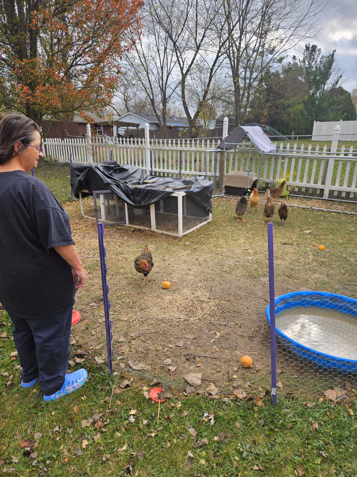 Caregiver stands in fenced outdoor yard with chickens and a small pool.
