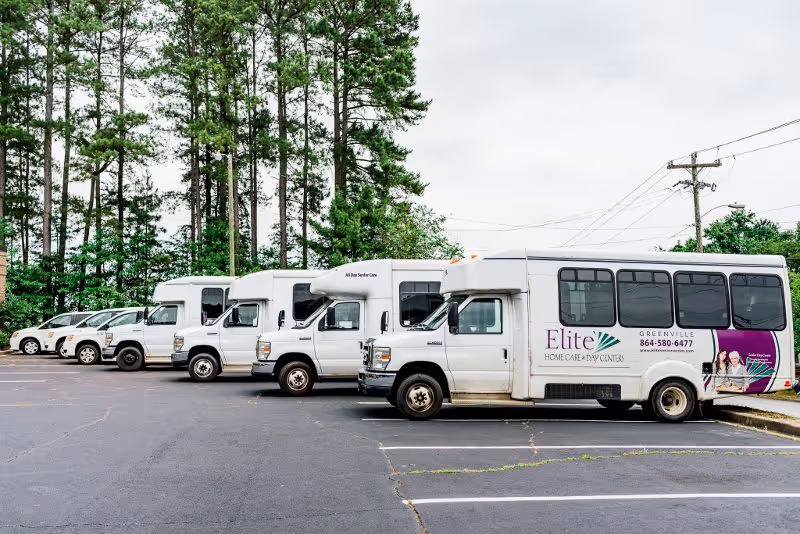 Several white buses parked in a lot beside tall trees.