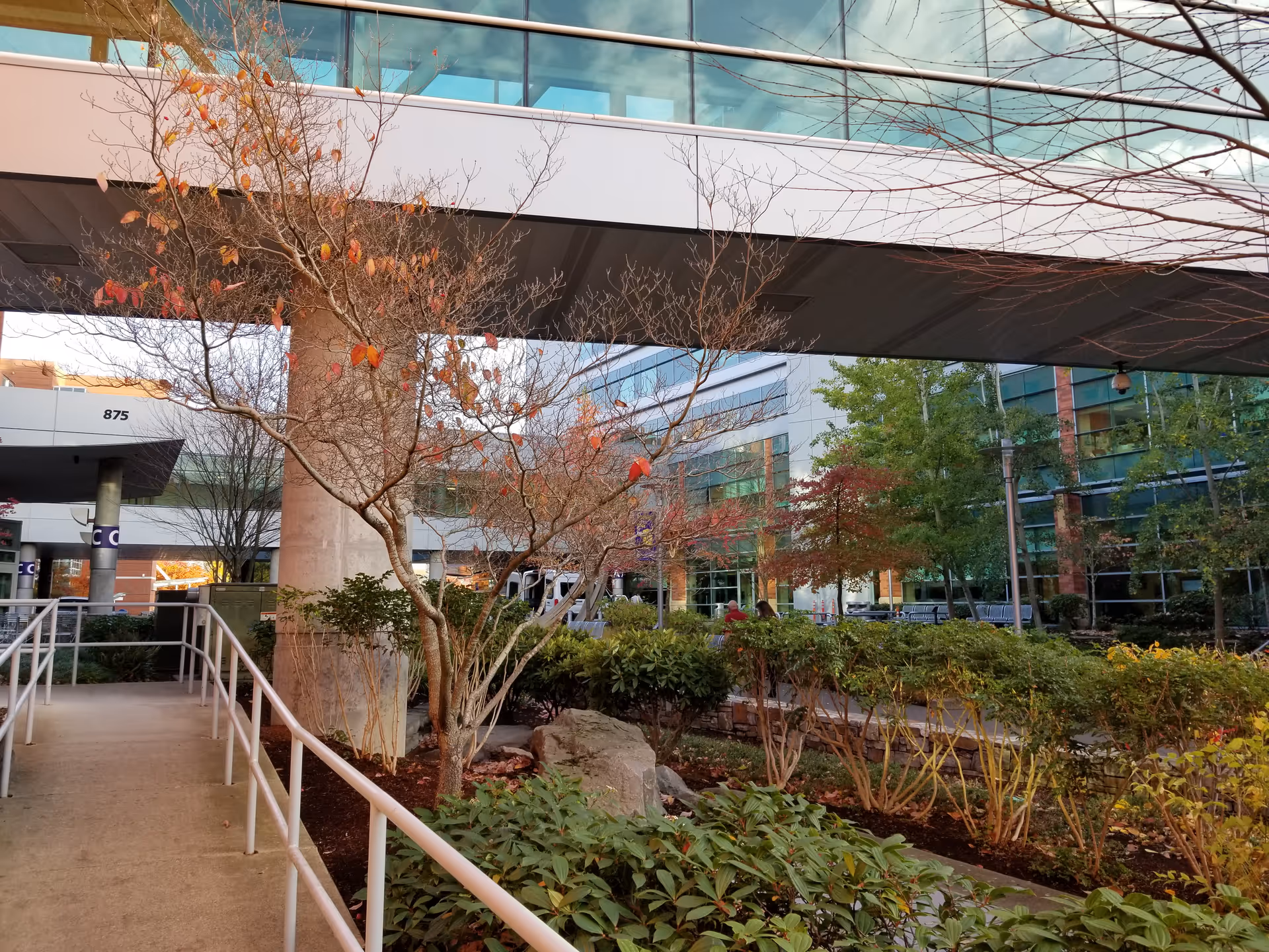 Modern hospital exterior featuring a glass-wrapped building and landscaped courtyard.