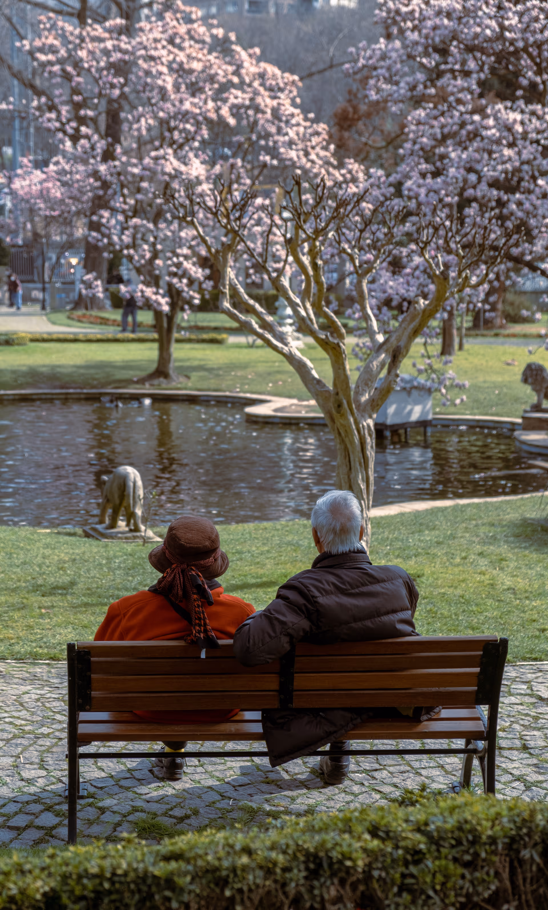 Two elderly people sit on a bench beside a pond under blooming cherry trees.