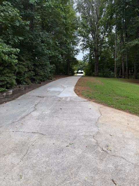 Cracked concrete path winds through trees with green grassy areas on both sides.