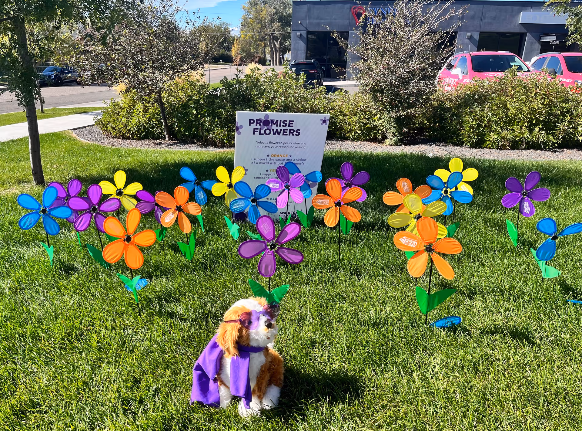 Colorful plastic flowers arranged on a green lawn with a plush purple-caped dog and sign.