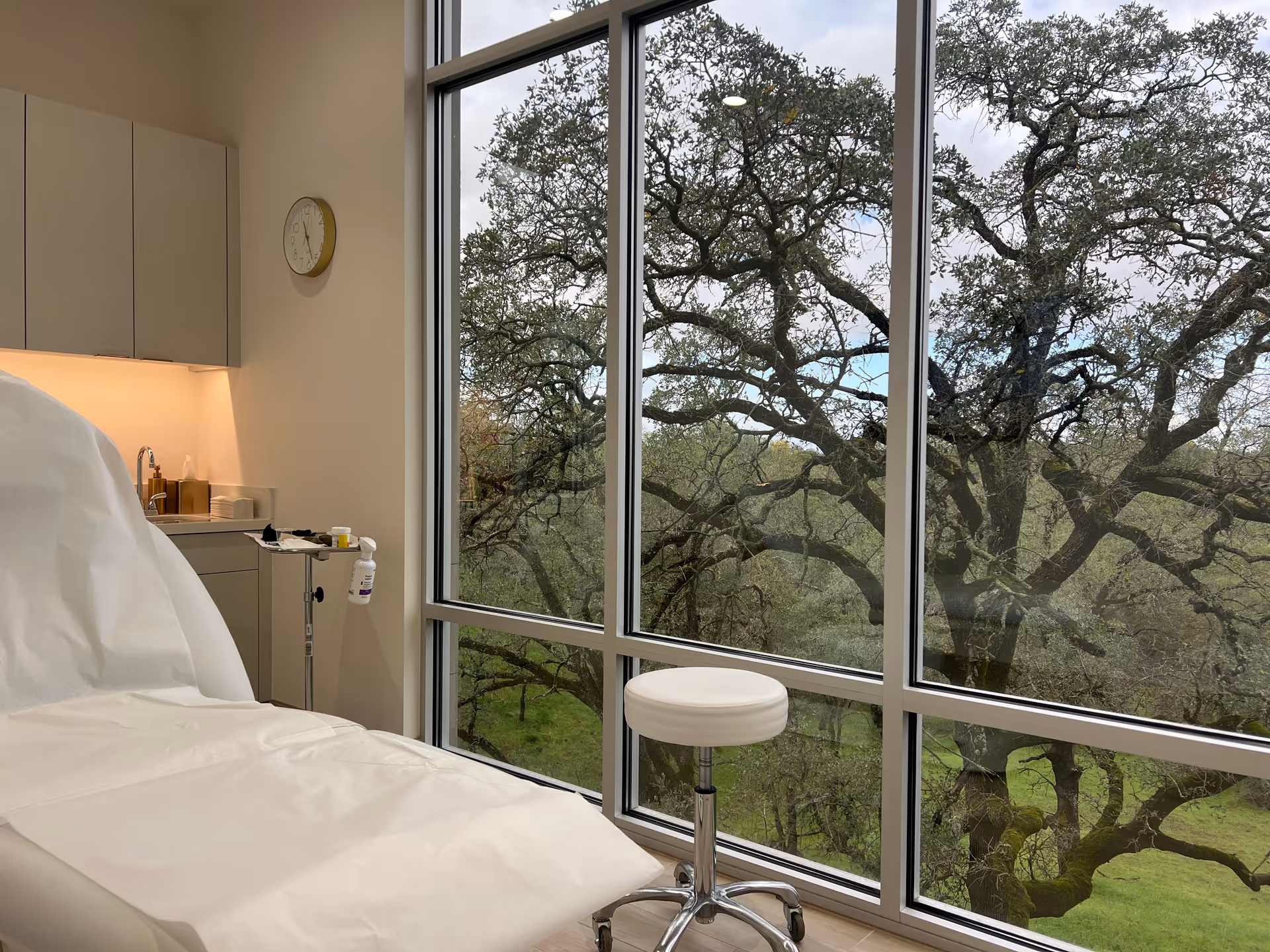 A patient bed and medical workspace beside large windows with tree view.