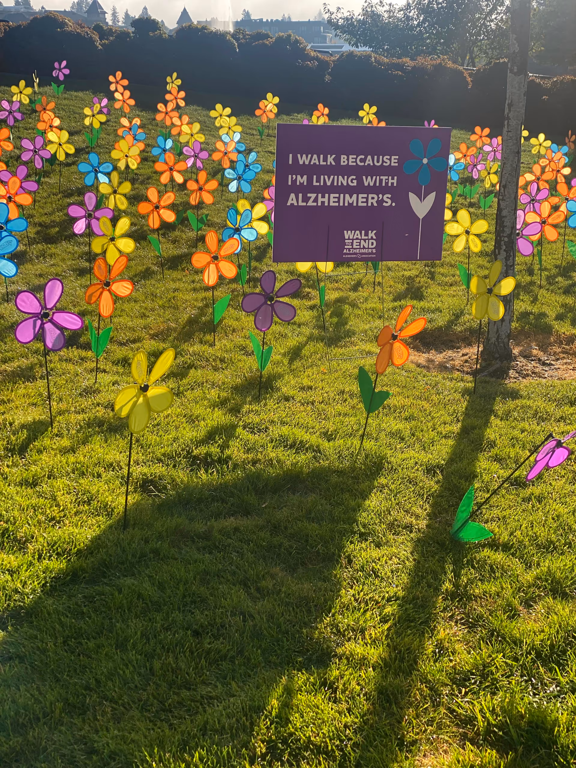 Outdoor lawn with colorful pinwheels and an Alzheimer's awareness sign at Visiting Angels Senior Home Care.