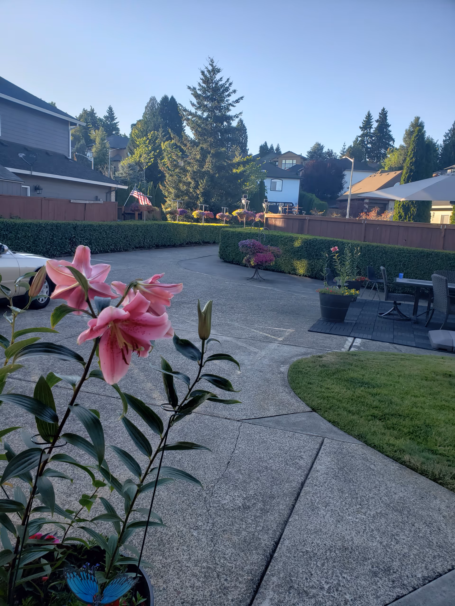 Outdoor courtyard with potted flowers, hedges, and patio furniture.