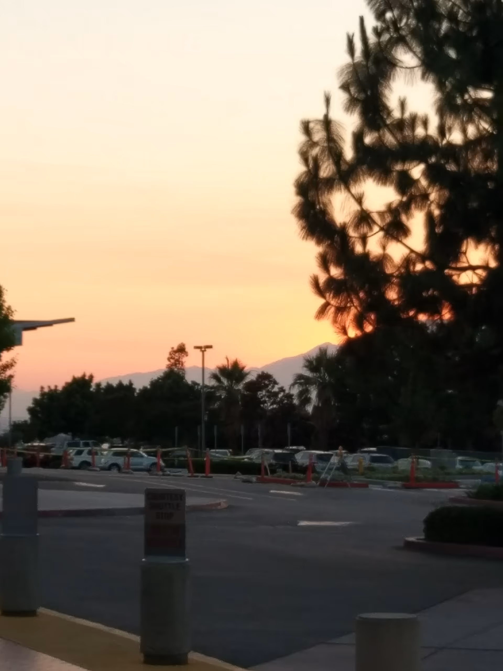 Sunset over a parking lot with trees and vehicles in front of the facility.