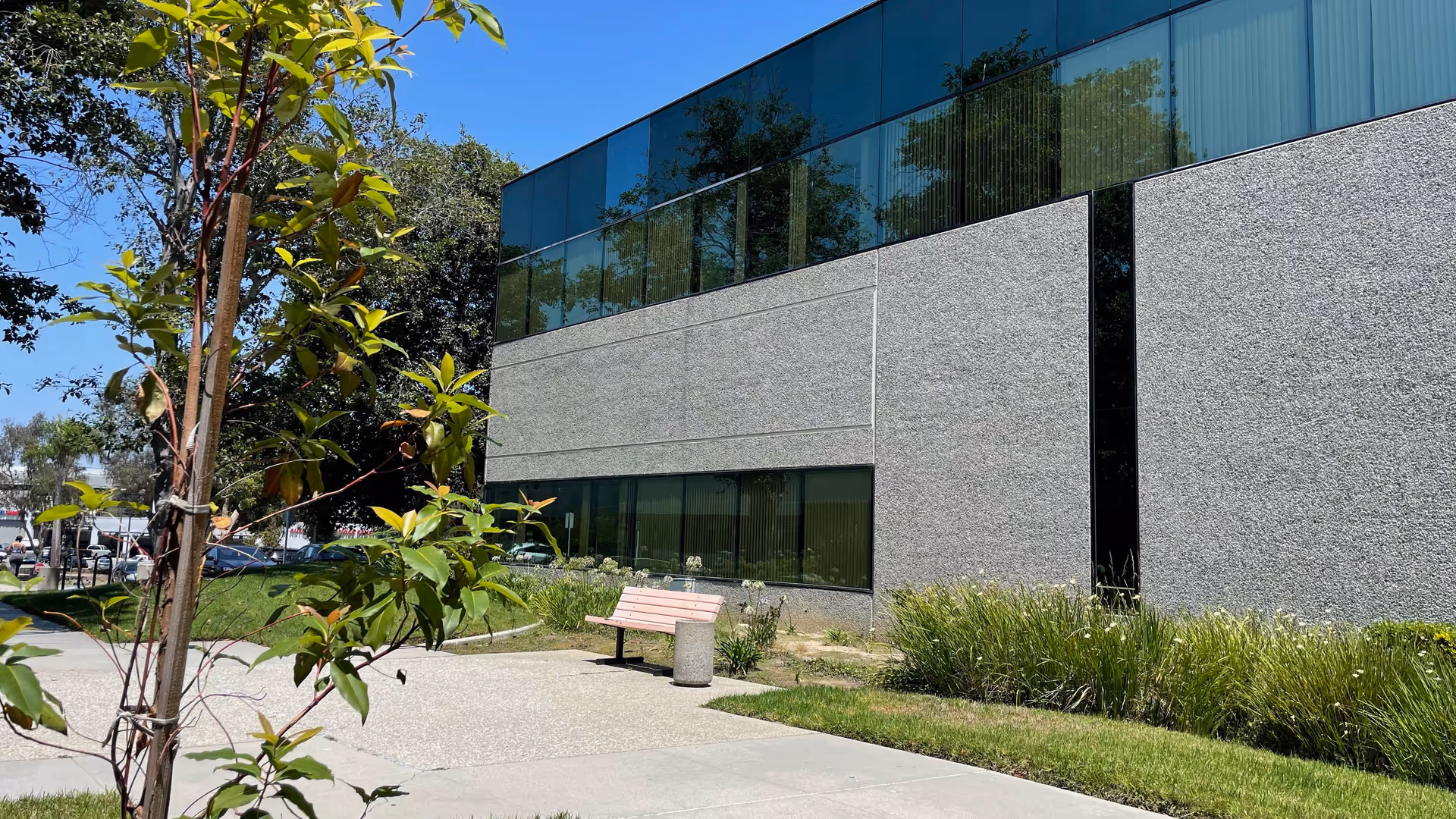 Exterior view of a modern gray building with glass windows, bench, and greenery.