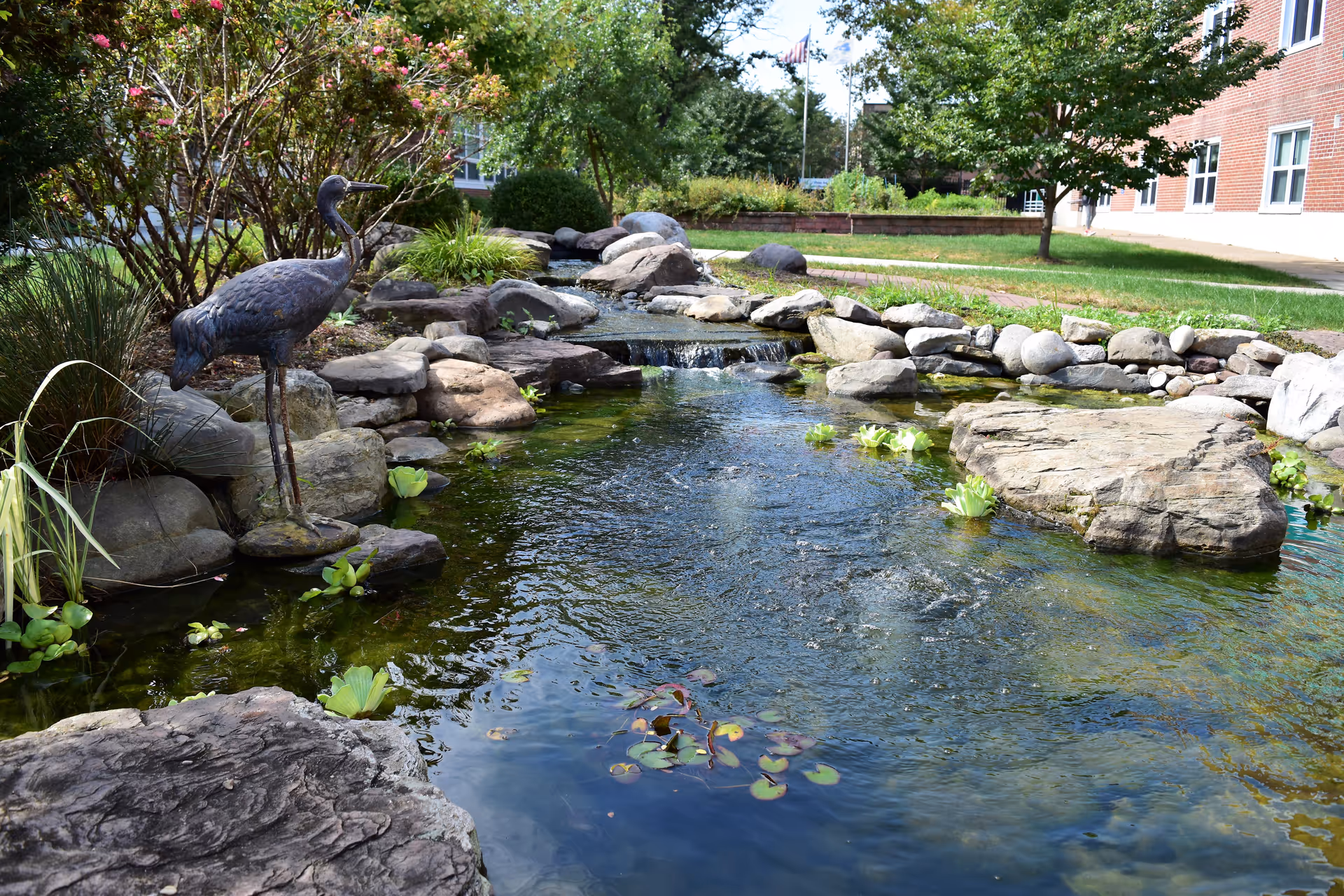 Outdoor landscaped pond at PASSi with rocks, plants, water feature, and a decorative heron statue.