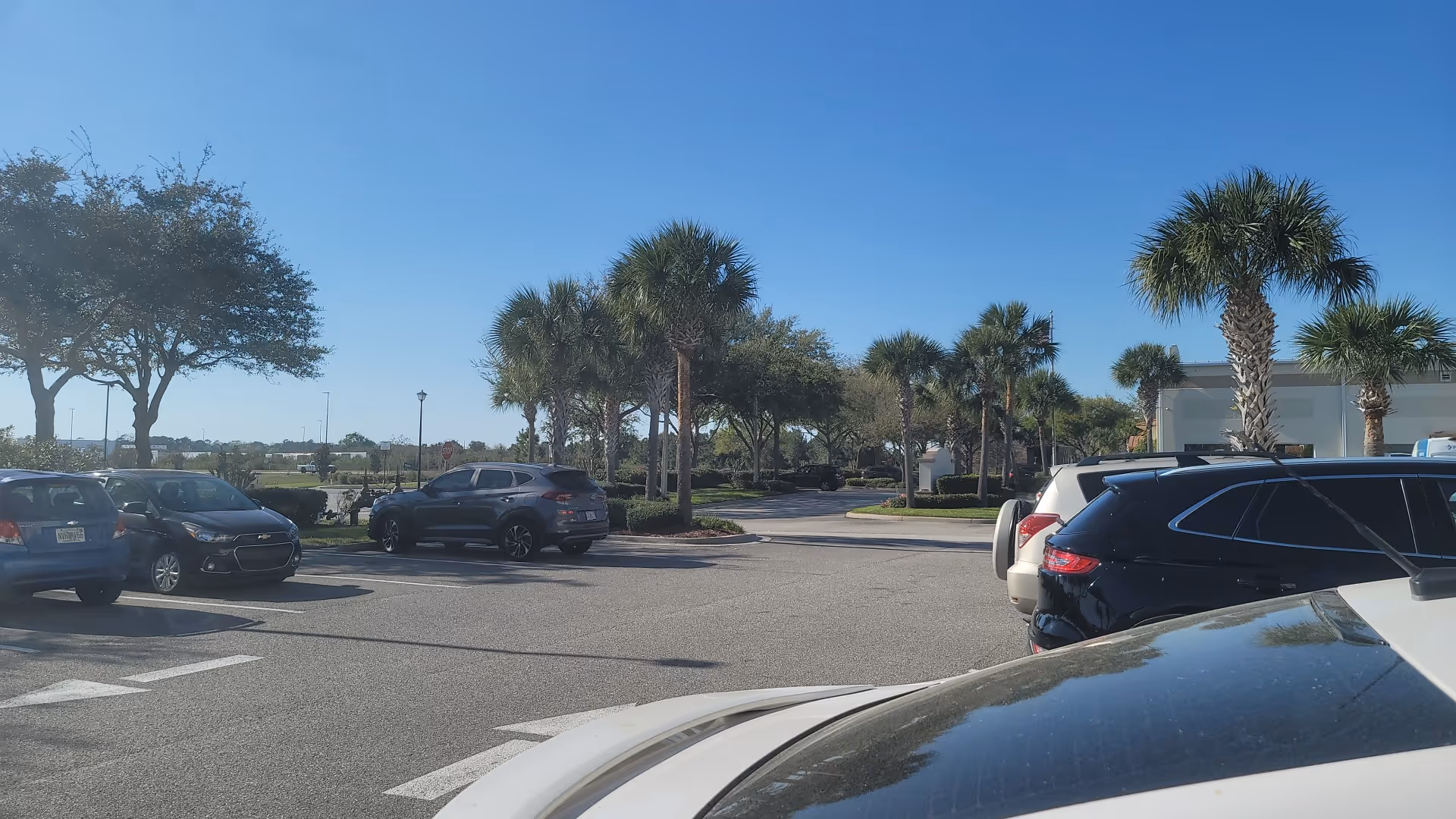 Sunny parking lot in front of a building with palm trees and several cars.