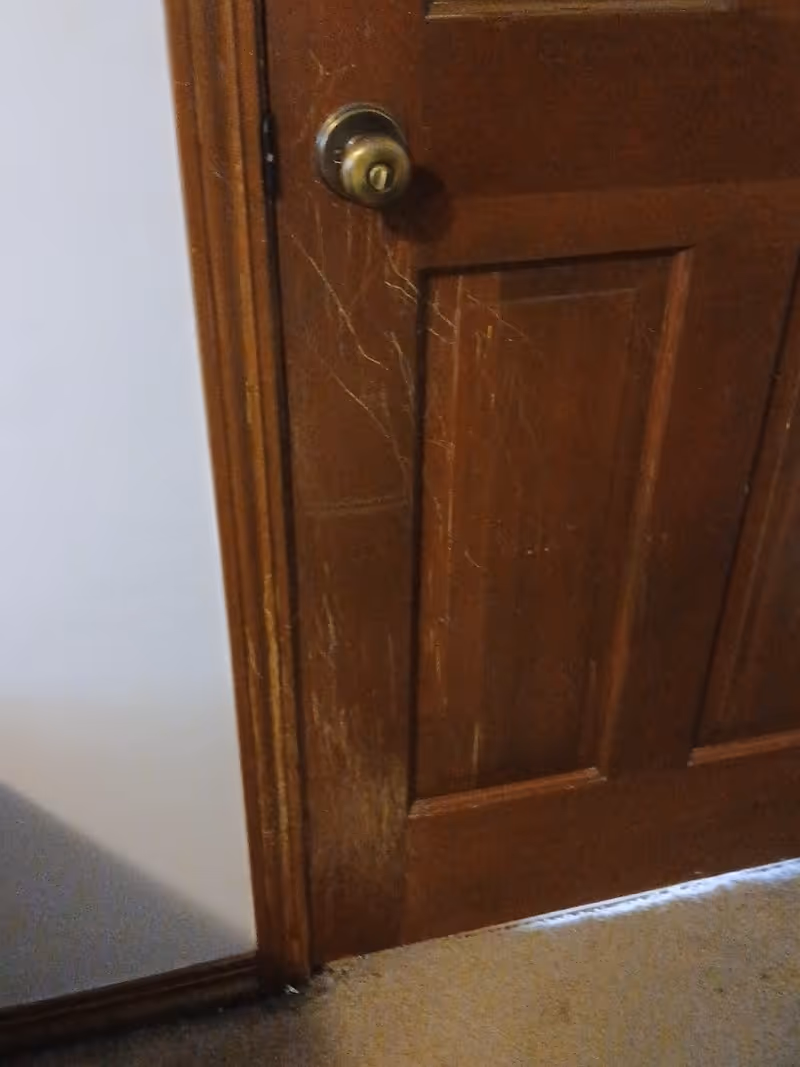 Close-up of a scratched wooden interior door with a knob