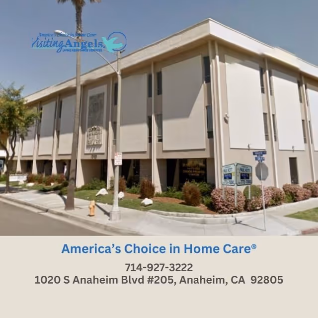 Front exterior of a Visiting Angels senior care building with palm trees in view.