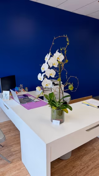 White reception desk with an orchid plant against a dark blue wall in a lobby.