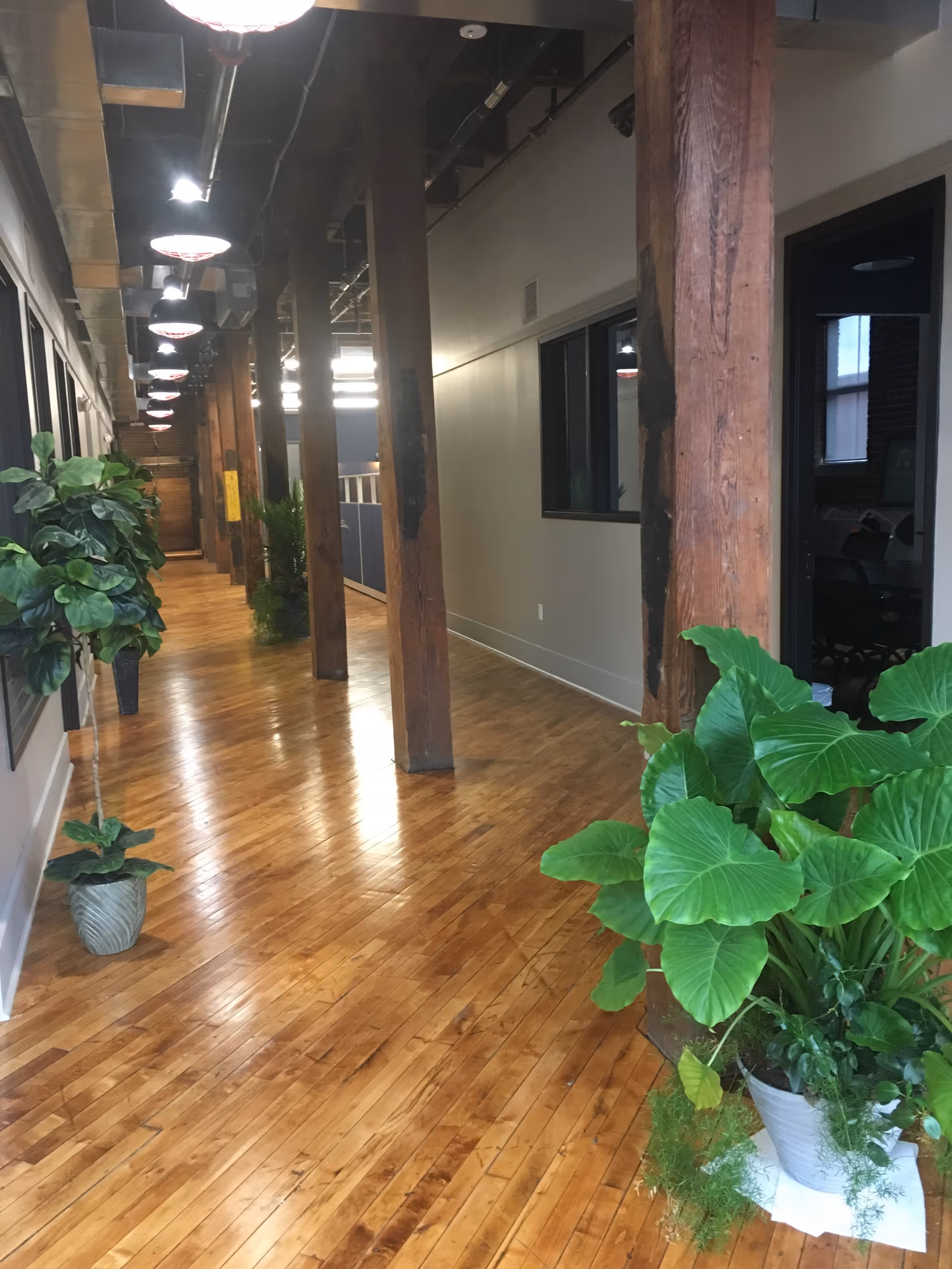 A hallway in a senior living facility with wooden floors, columns, and potted plants.
