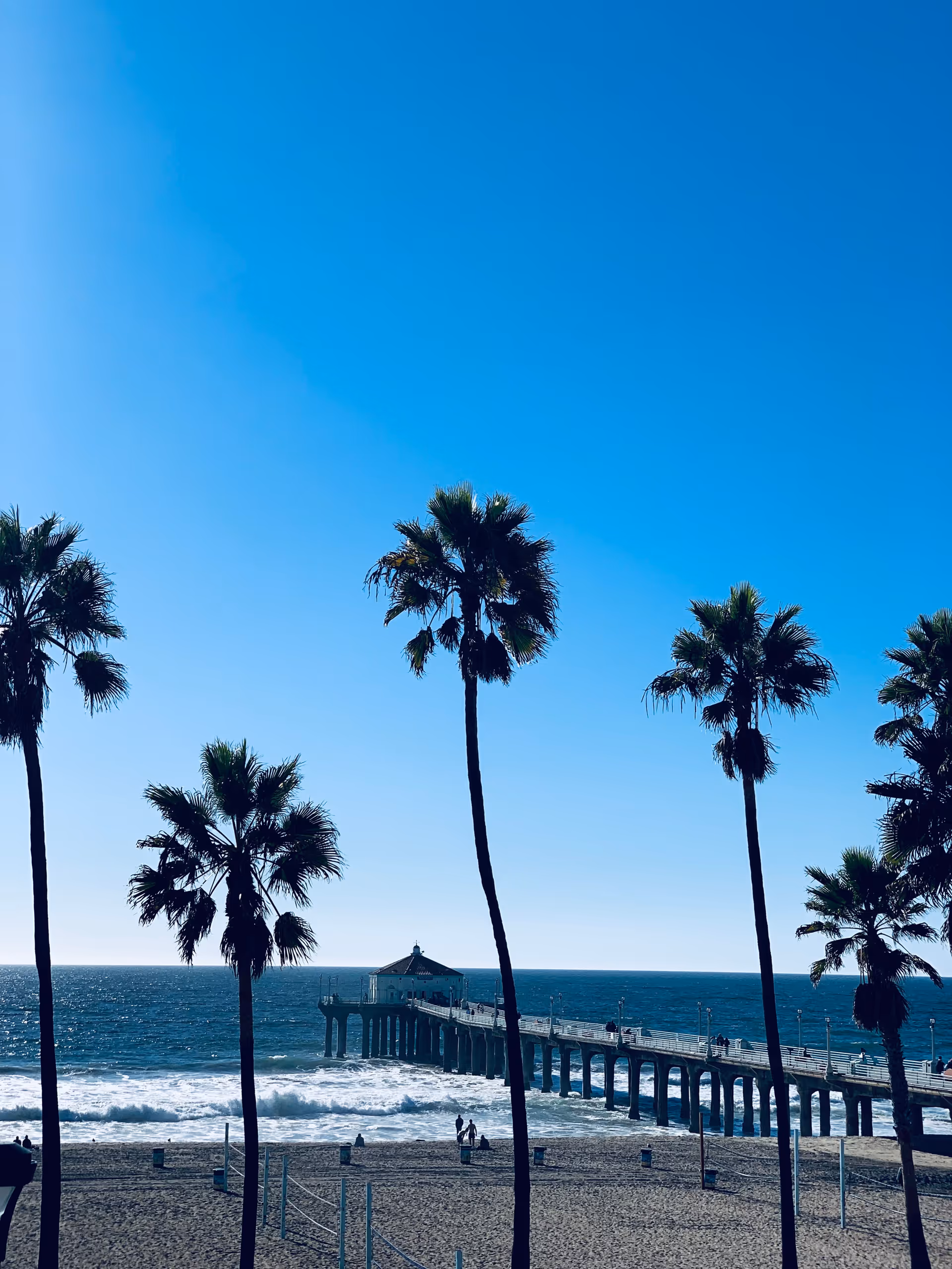 Blue sky over a beach with tall palm trees and a pier extending into the ocean.
