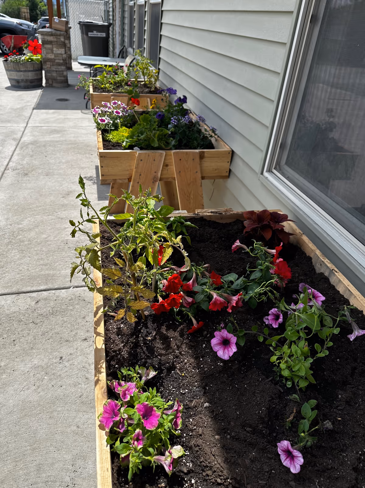 Wooden planter boxes with colorful flowers line a gray-siding building along a concrete walkway.