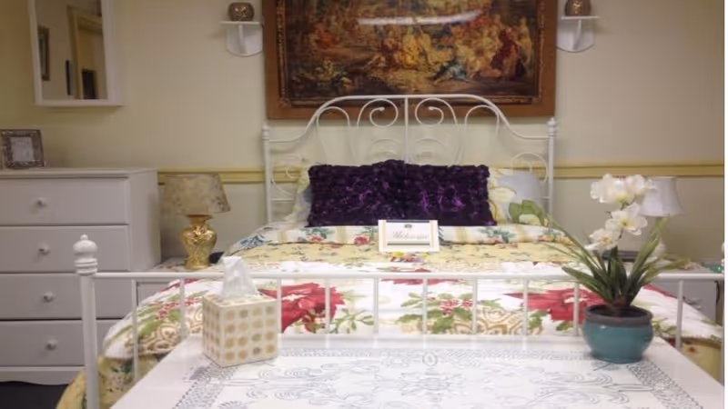 A cozy floral bed with pillows and a potted plant on a table in a bedroom