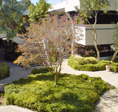 Outdoor view of Canyon Lake Hospice Care building with trees and trimmed bushes.