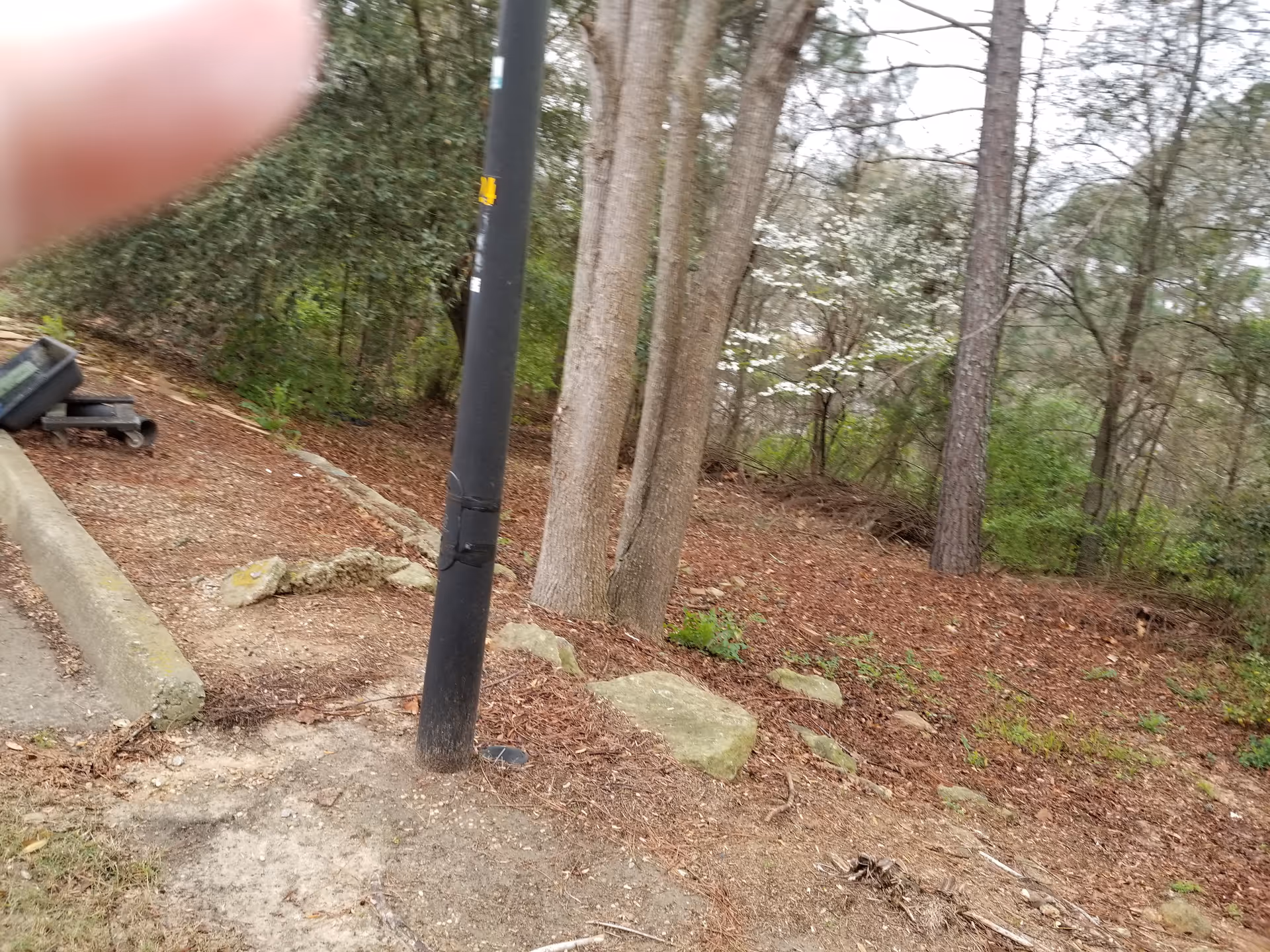 Outdoor wooded area with a dark lamp post, trees, and rocky ground.