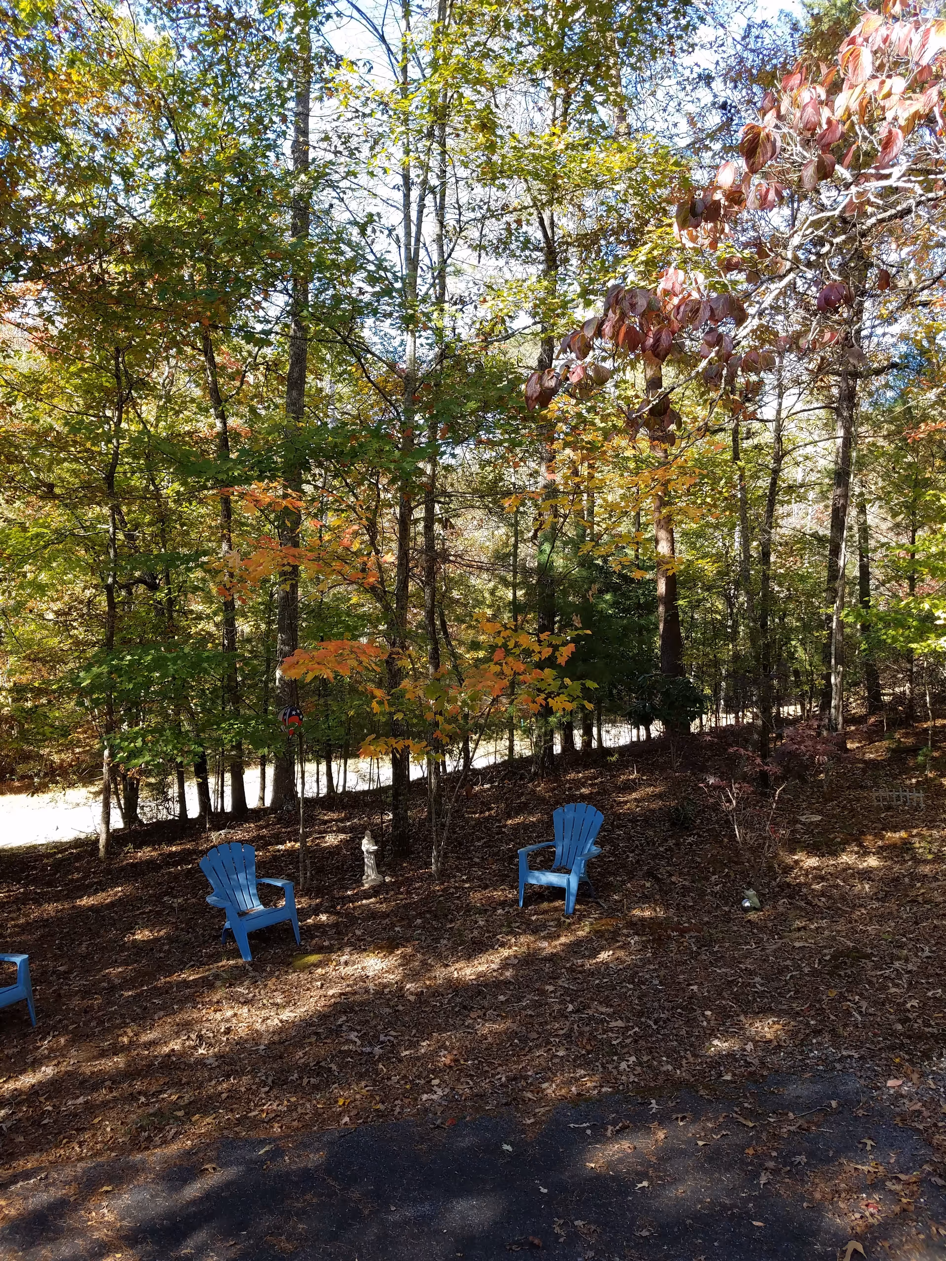 Outdoor wooded seating area with blue chairs, fallen leaves, and a small statue.