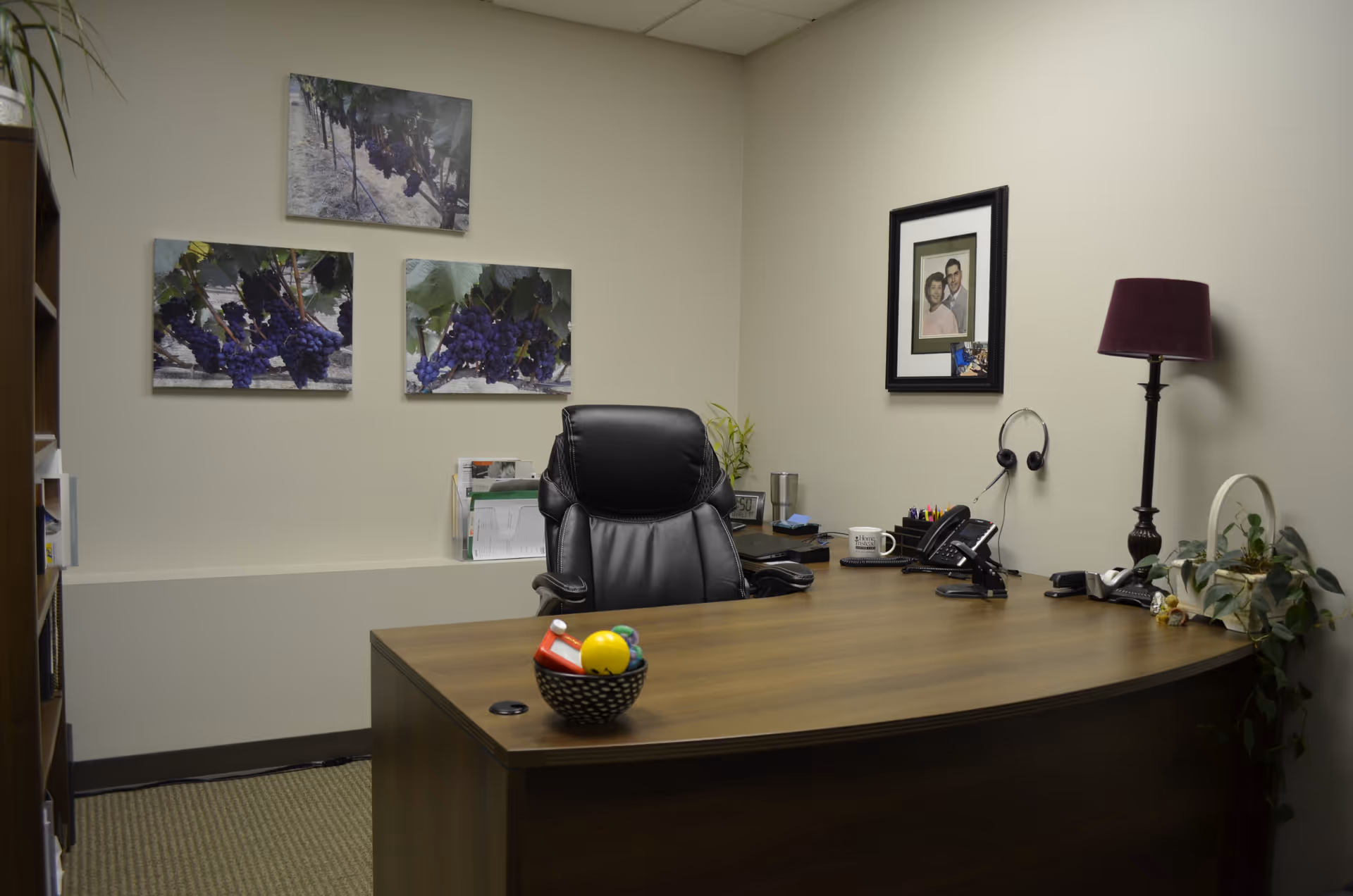 A Home Instead office with a wooden desk, leather chair, plants, and wall art.