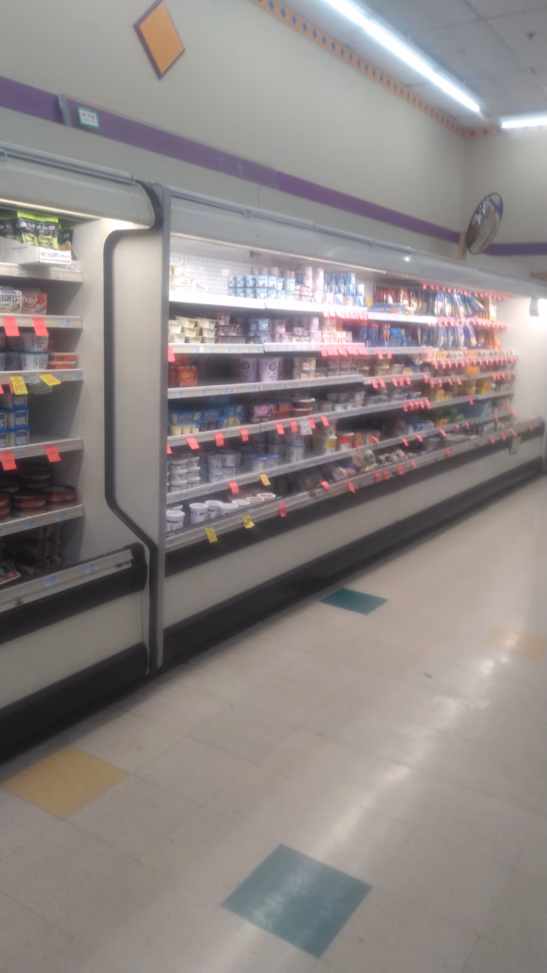 Interior view of a Discount Drug Mart aisle with refrigerated display cases and shelves.