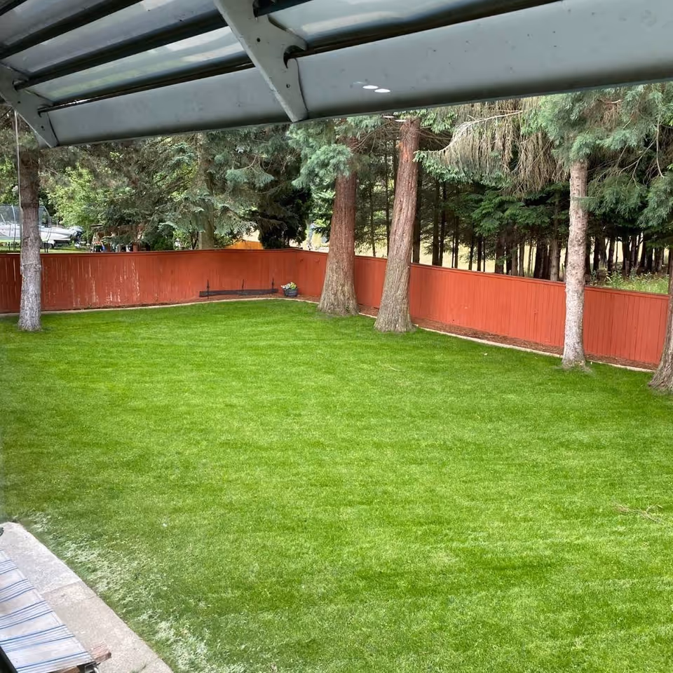 Outdoor grassy yard under a canopy with a red fence and trees.