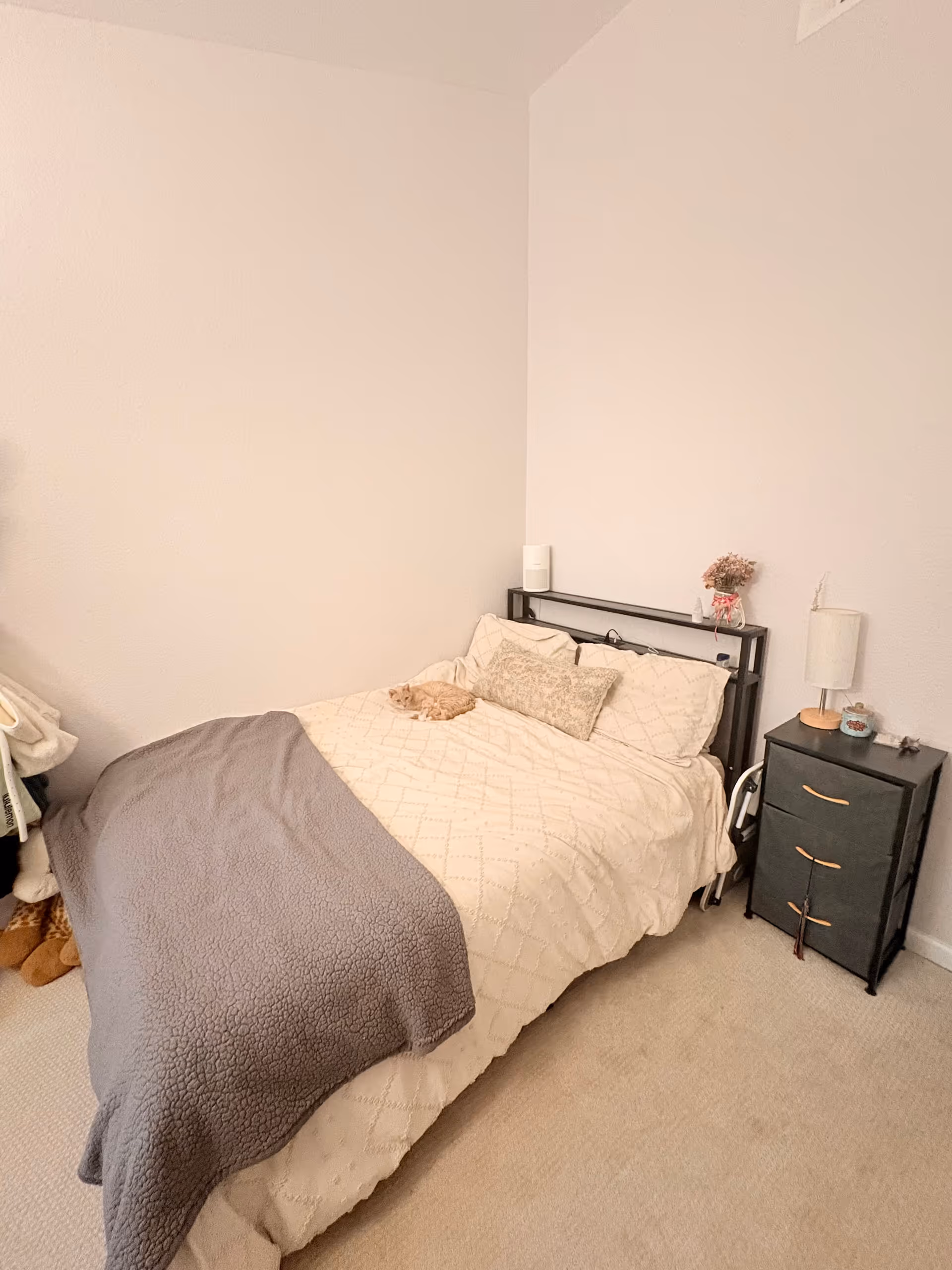 Bedroom featuring a bed, a single nightstand, and a small animal resting on the blanket.