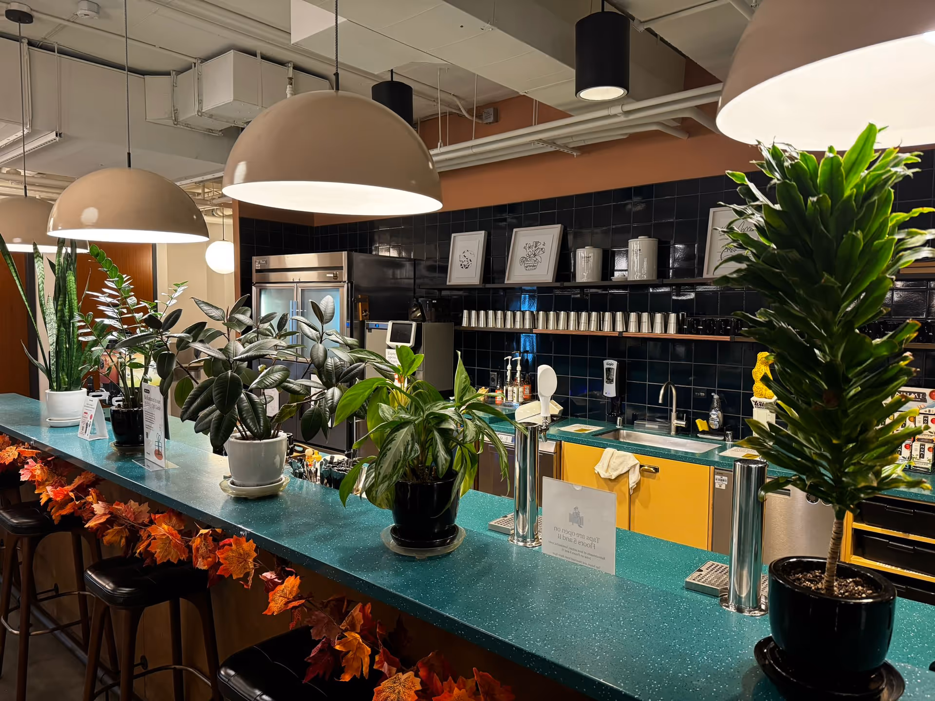 Modern indoor lounge area with teal counter, plants, and bar stools.