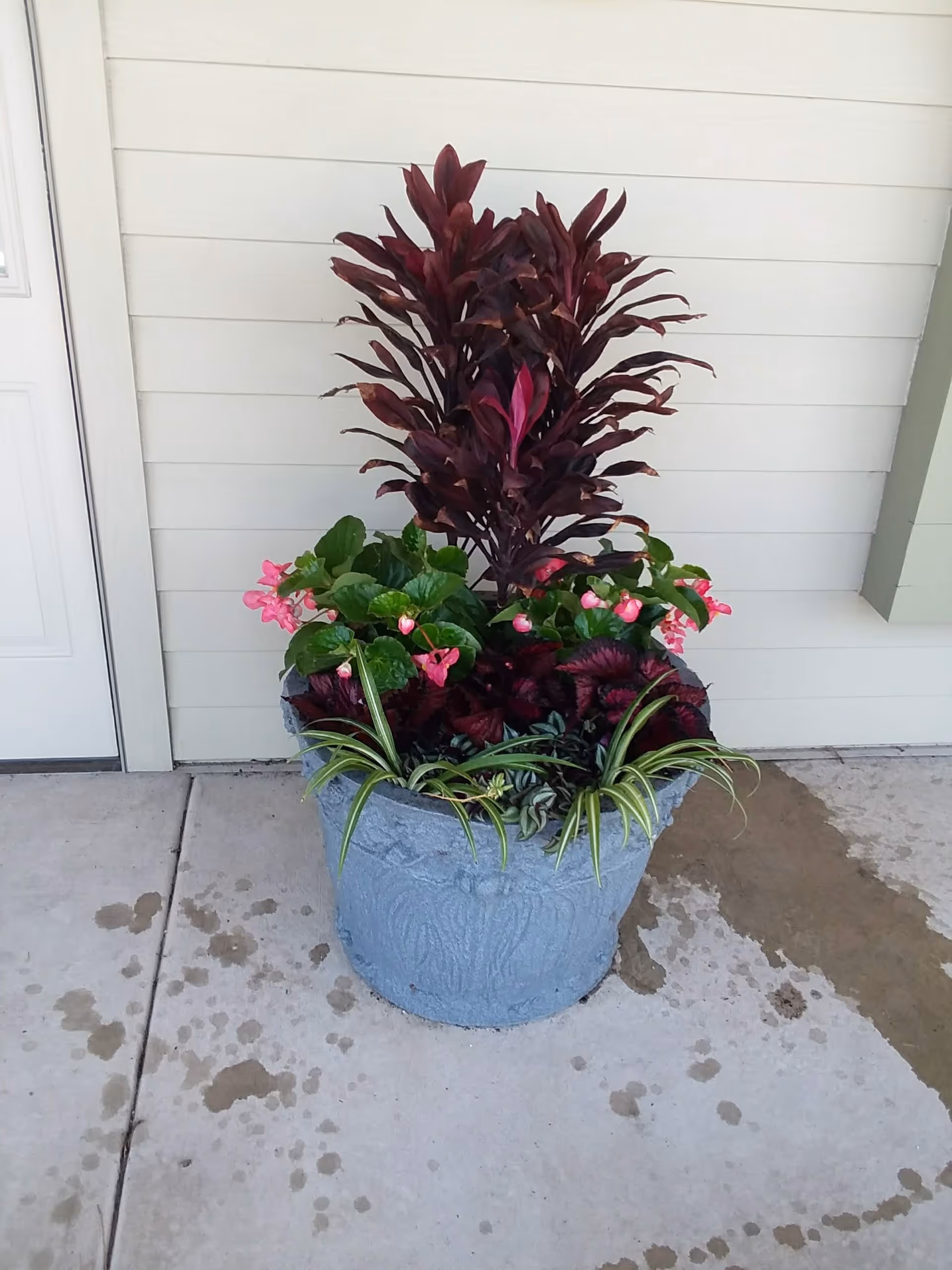A large decorative planter with burgundy leaves and pink flowers sits by a light building entrance.