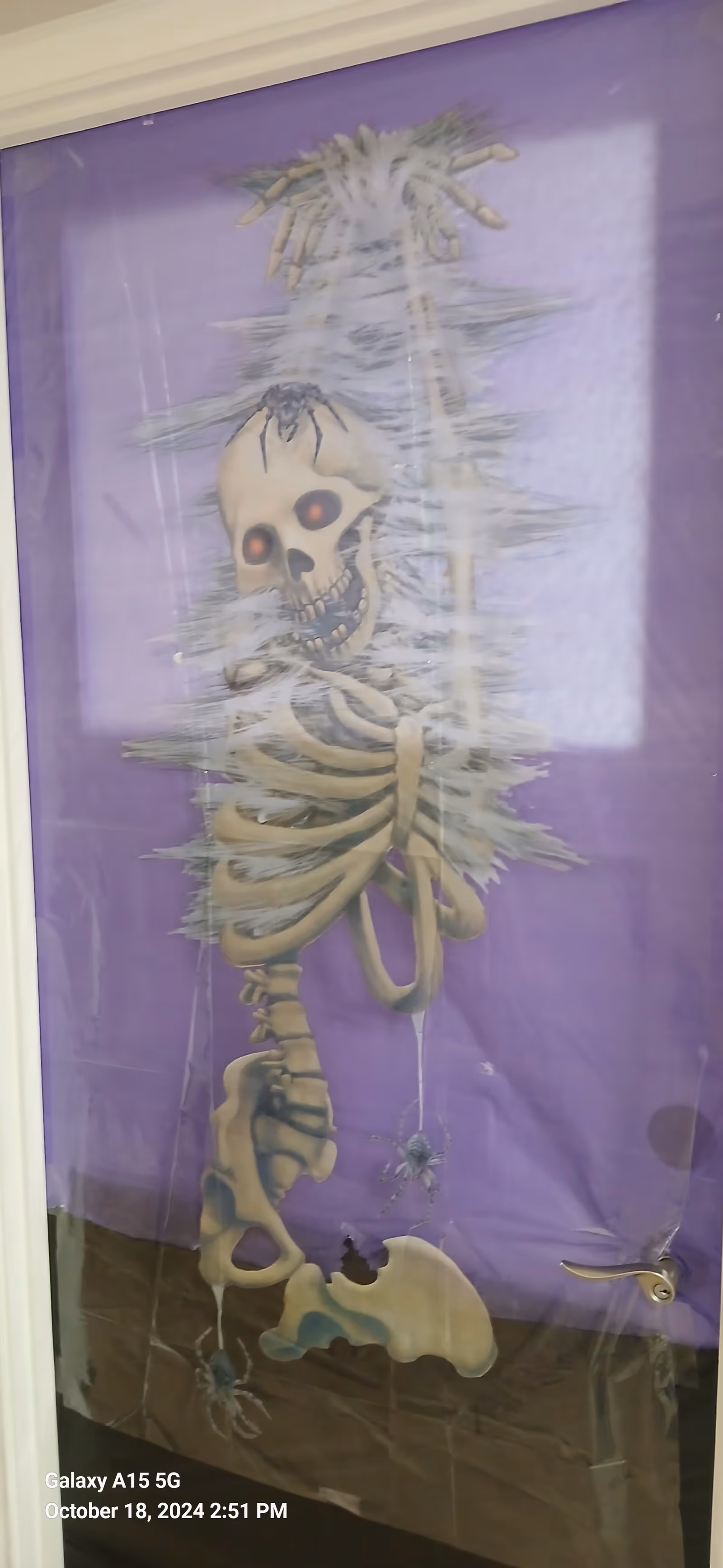 Decorated purple door featuring a skeletal mural in an indoor facility hallway.