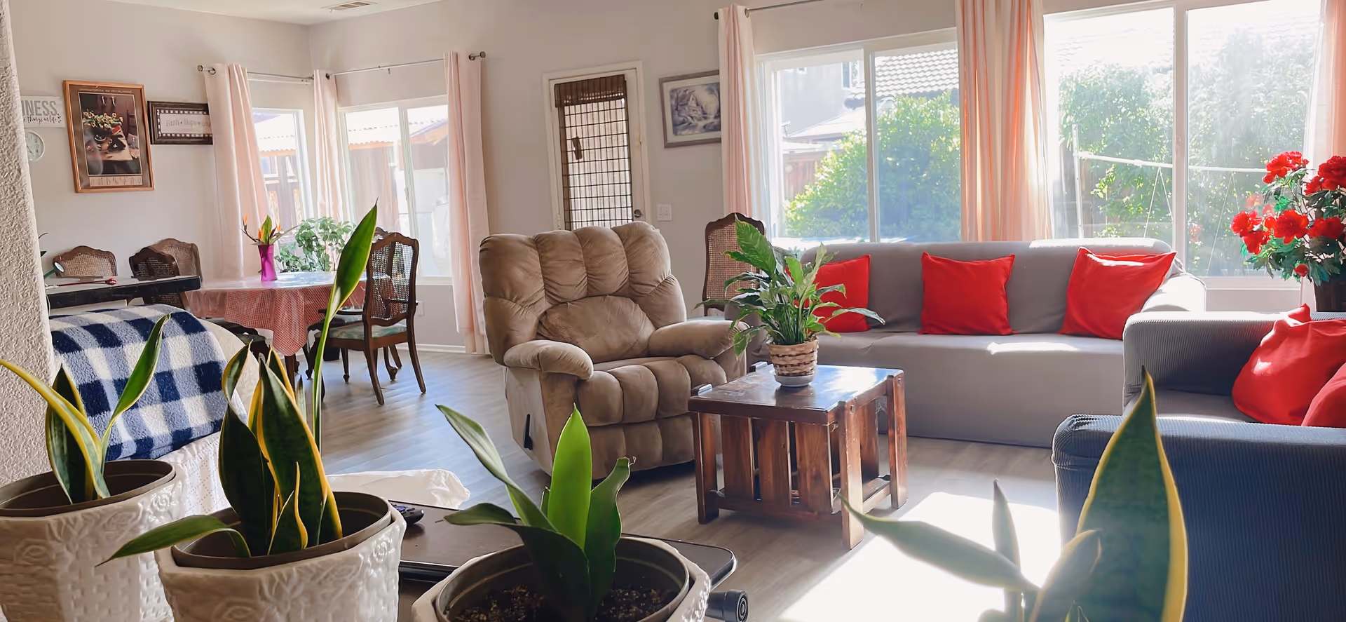 Bright living room with beige sofas, red cushions, plants, and large windows.