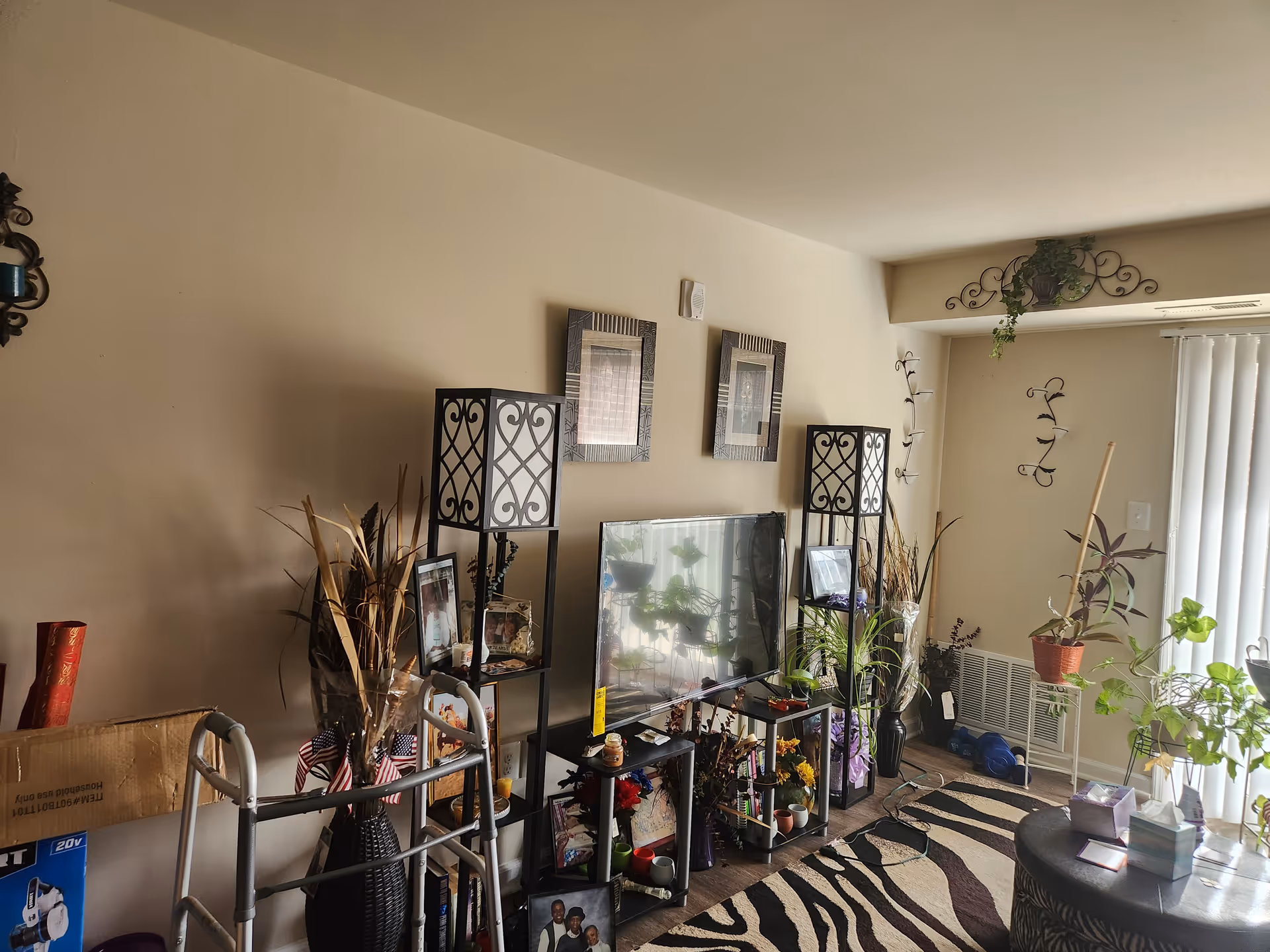 Cozy living room with TV, decorative shelves, potted plants, and a zebra rug.