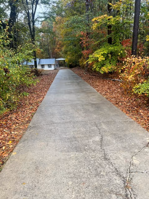 Concrete pathway through trees leads to a small building at Infinite Care Home.