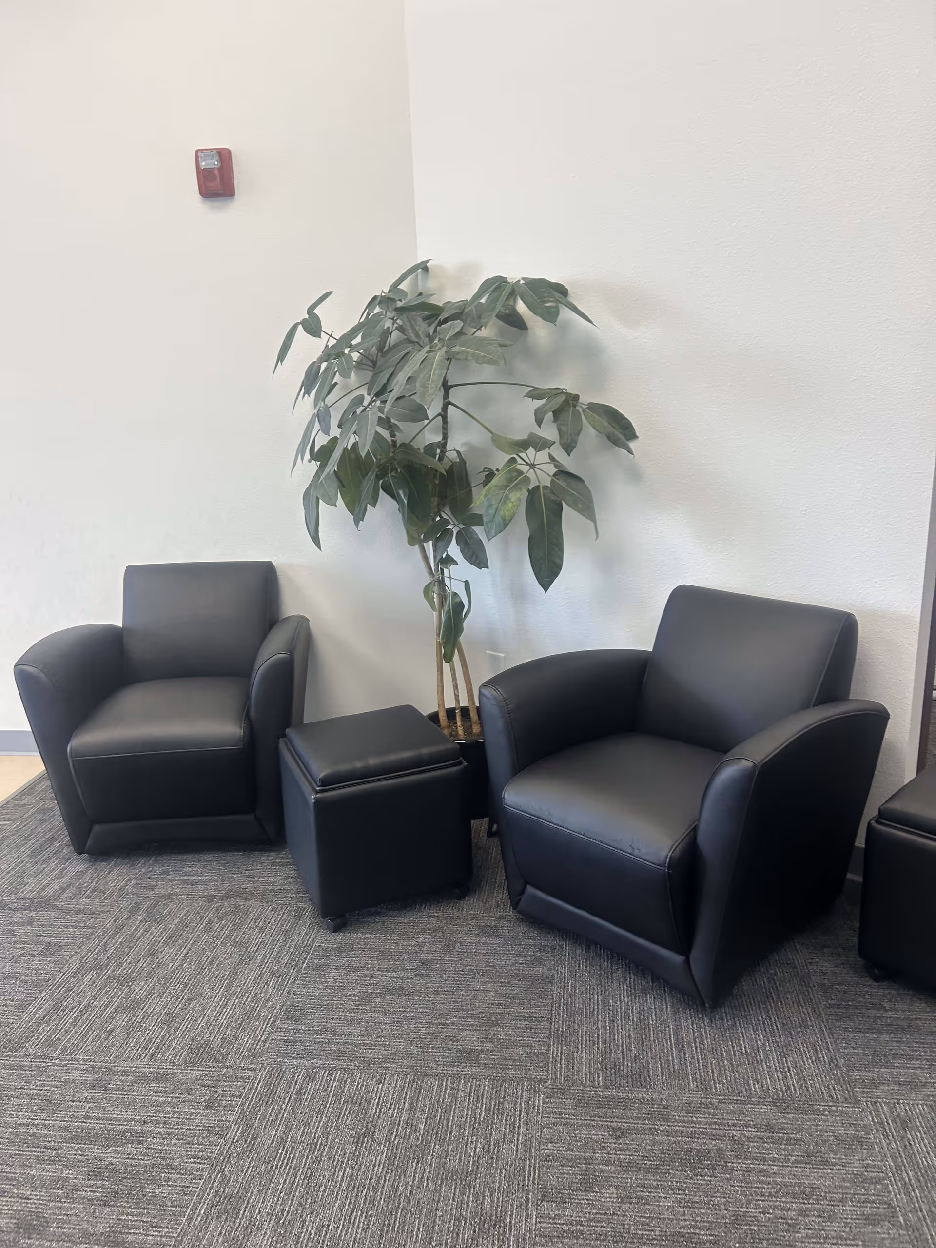 Lobby seating area with black leather chairs, ottoman, and tall plant by a gray wall.